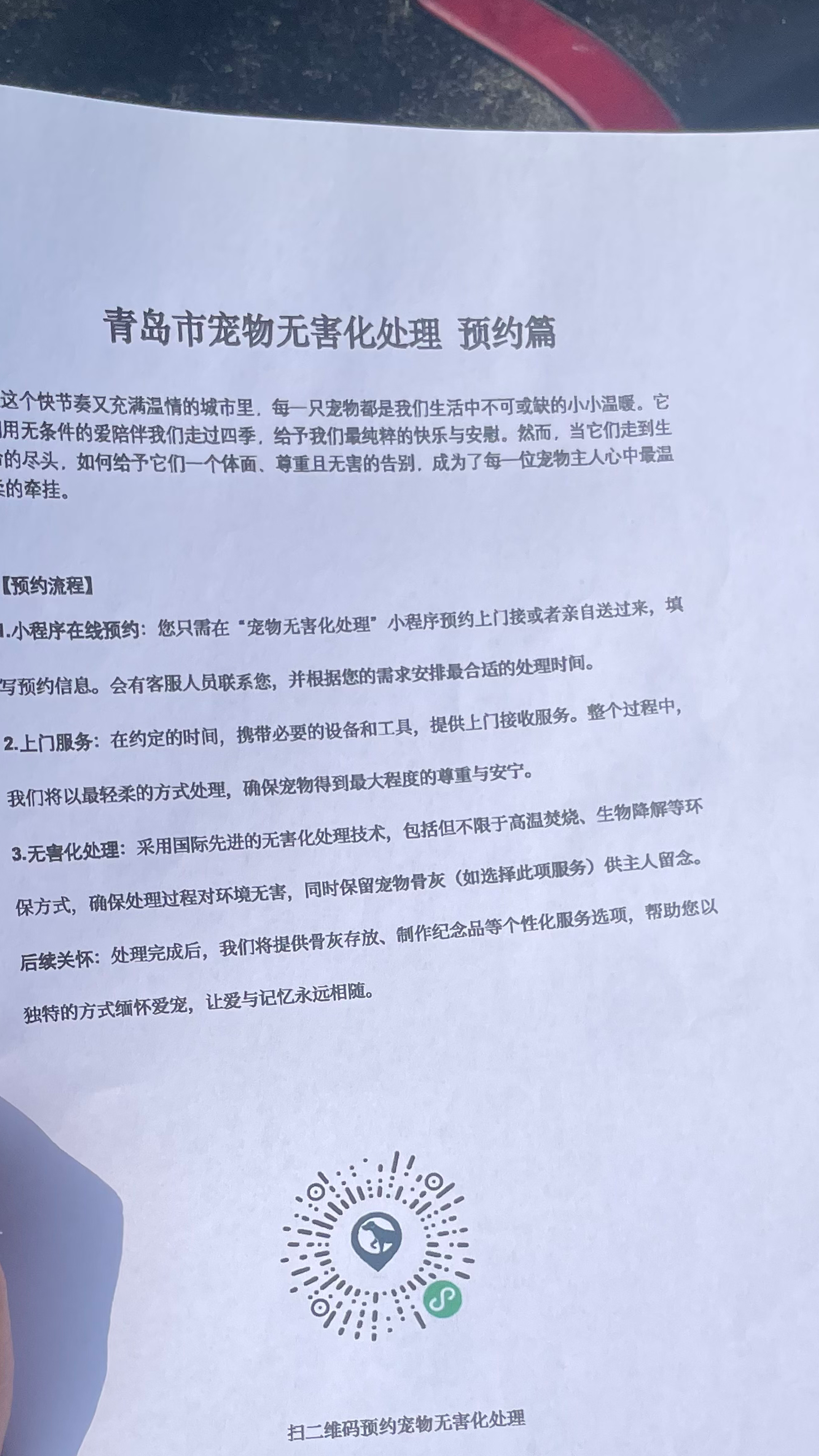 香洲宠摆渡服务