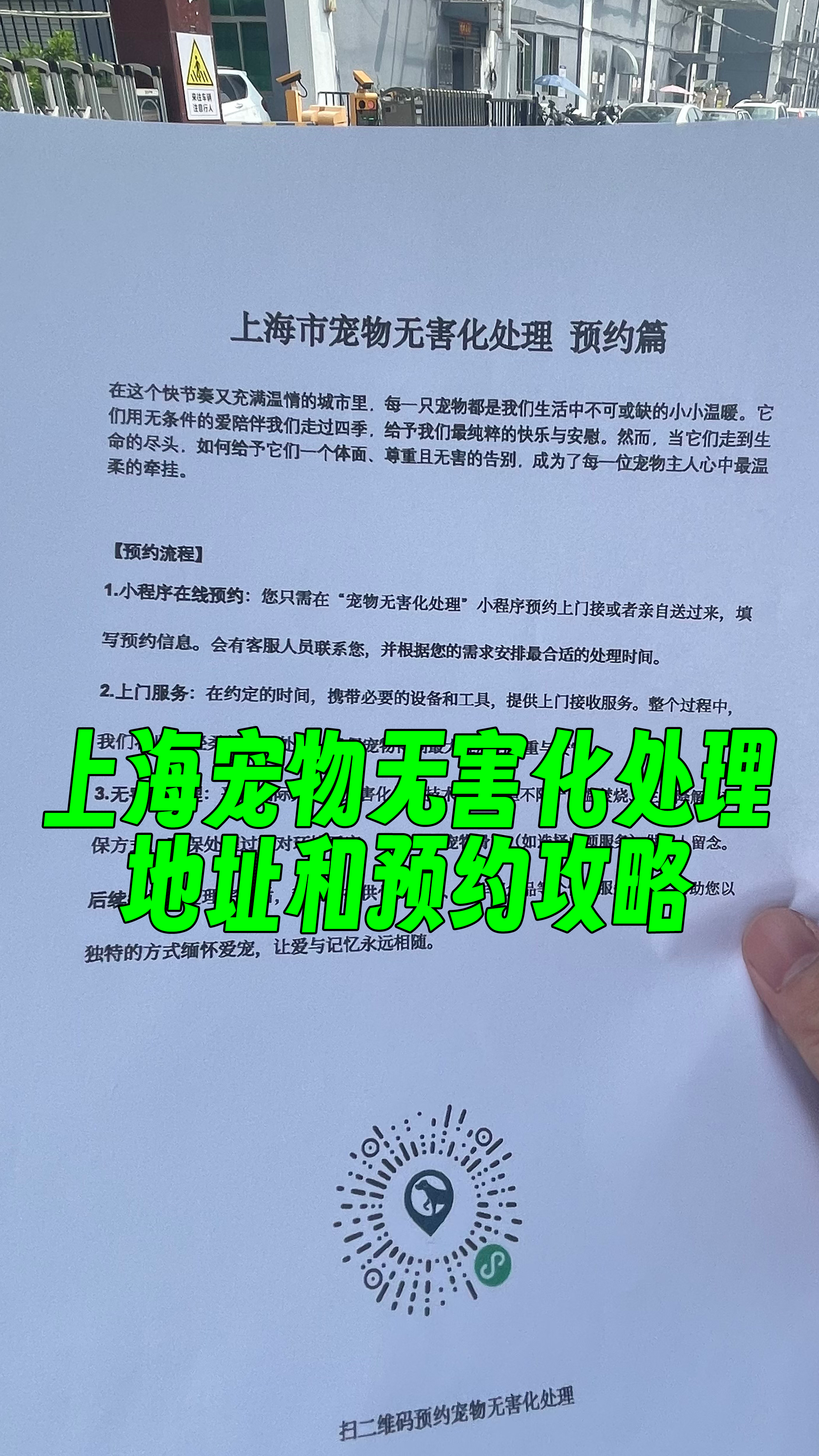 香洲宠物告别