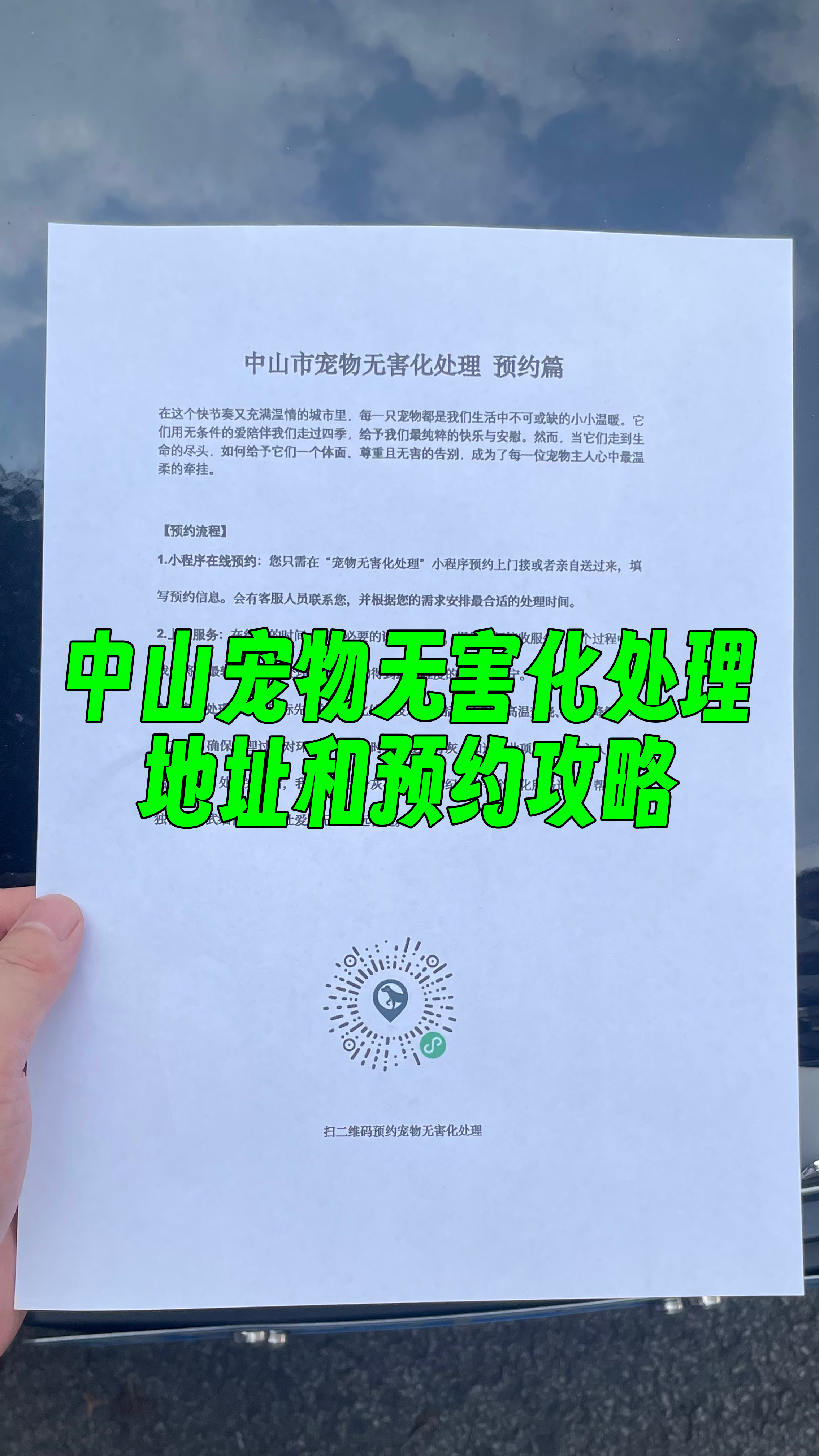 香洲宠物接运服务