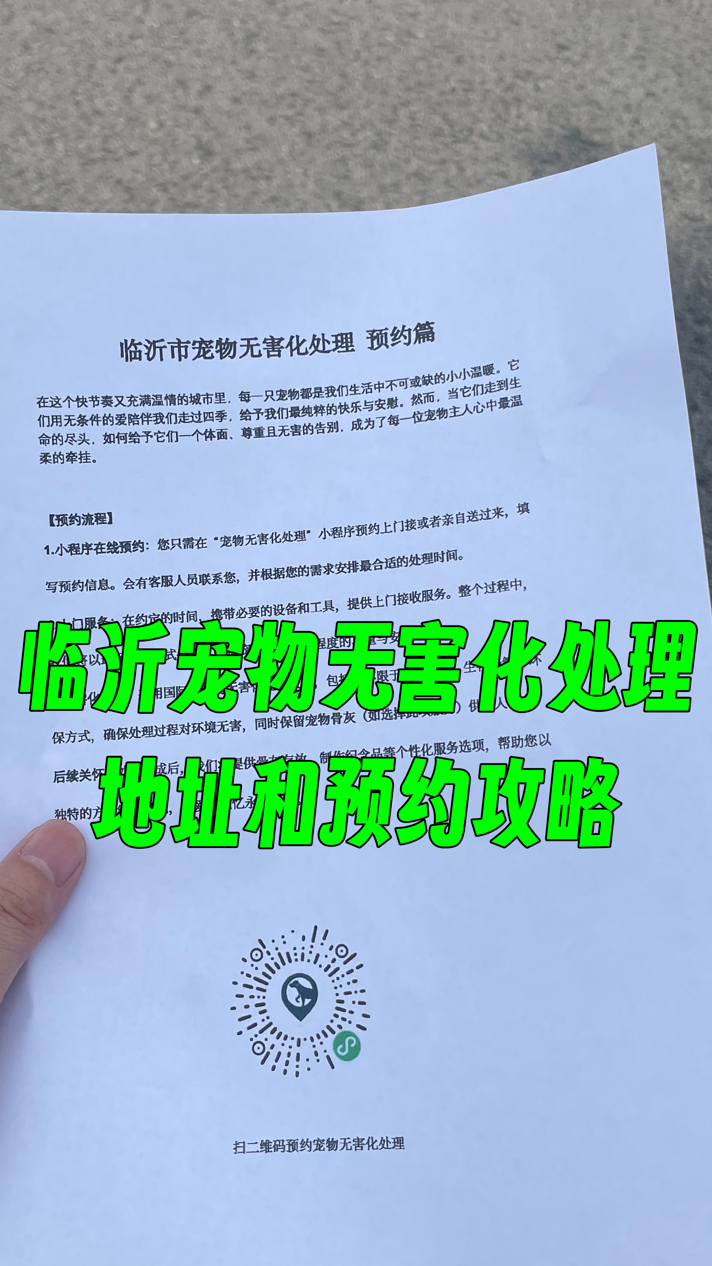 厦门宠物无害化处理