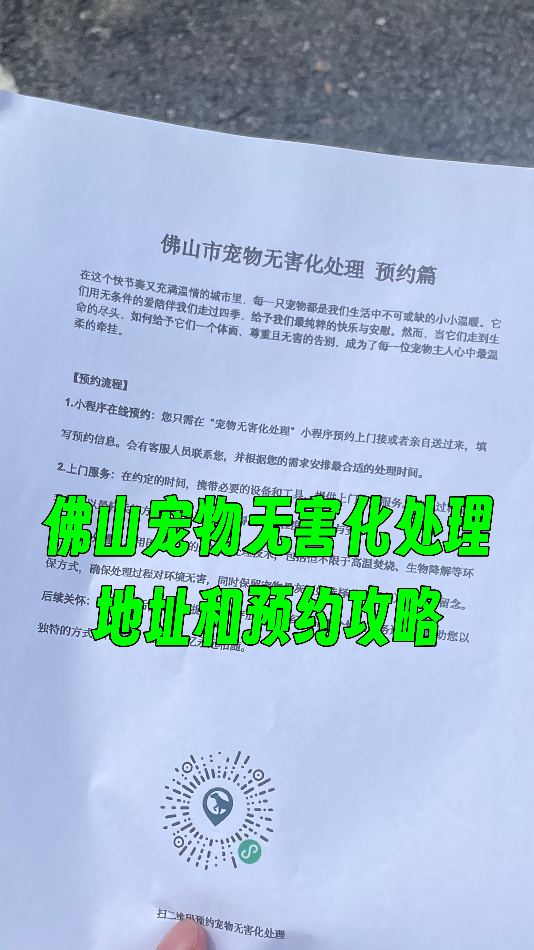 香洲宠物骨灰安置