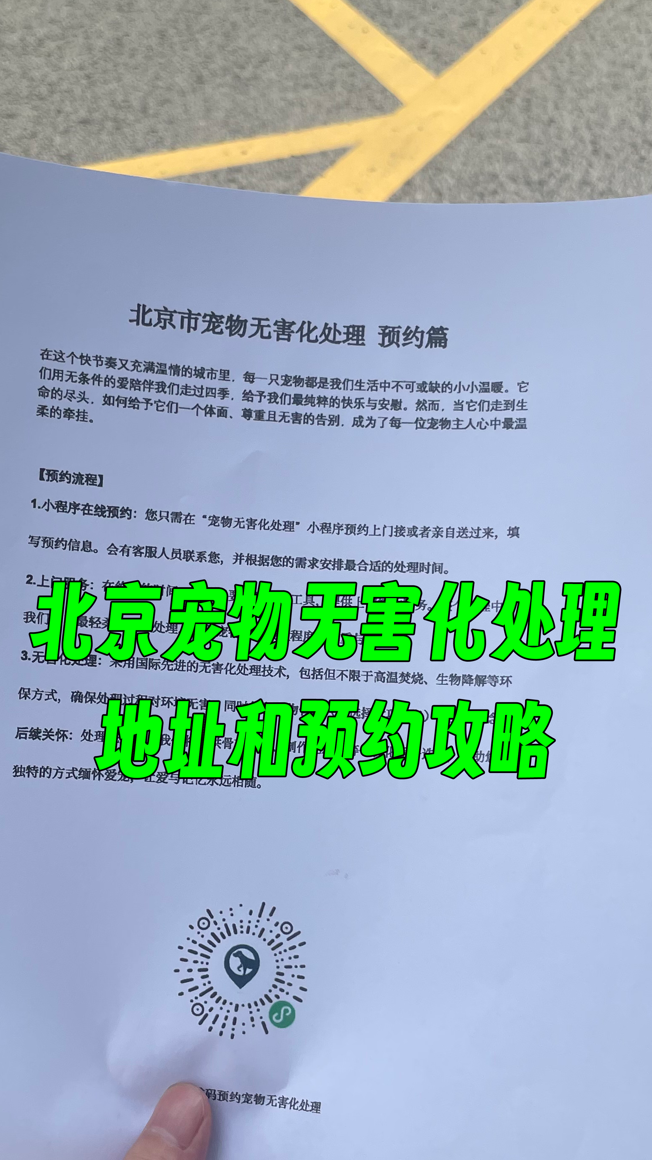 丽水宠物无害化处理