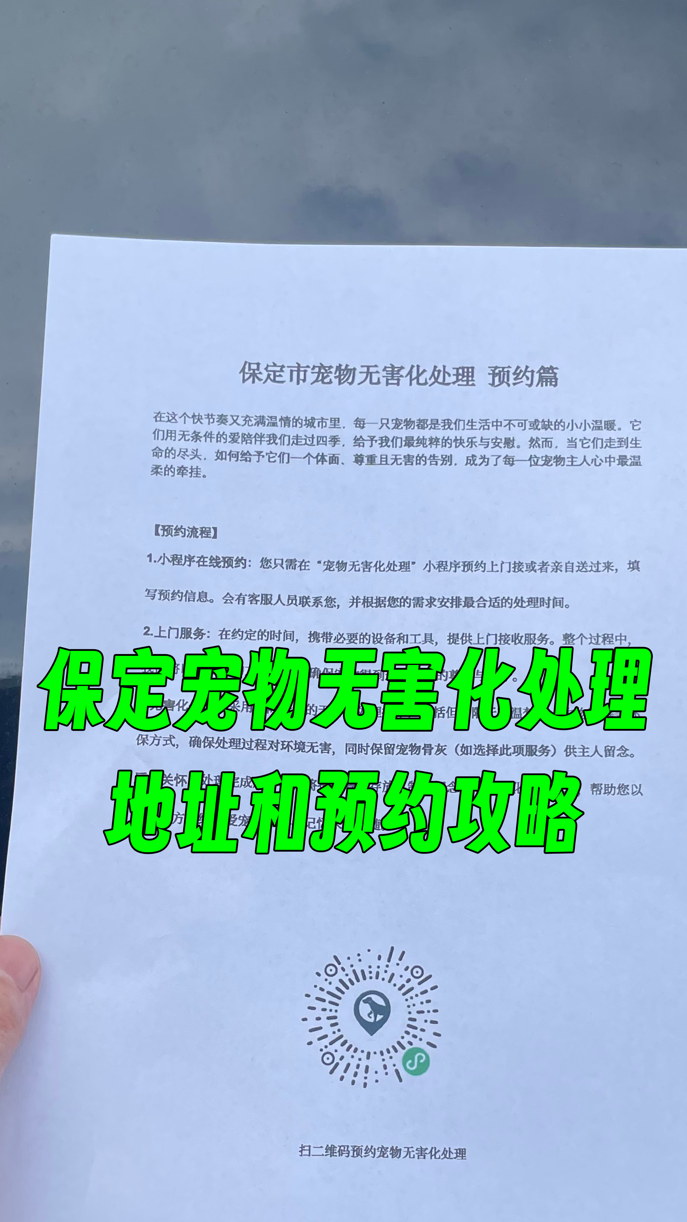 随州宠物无害化处理机构