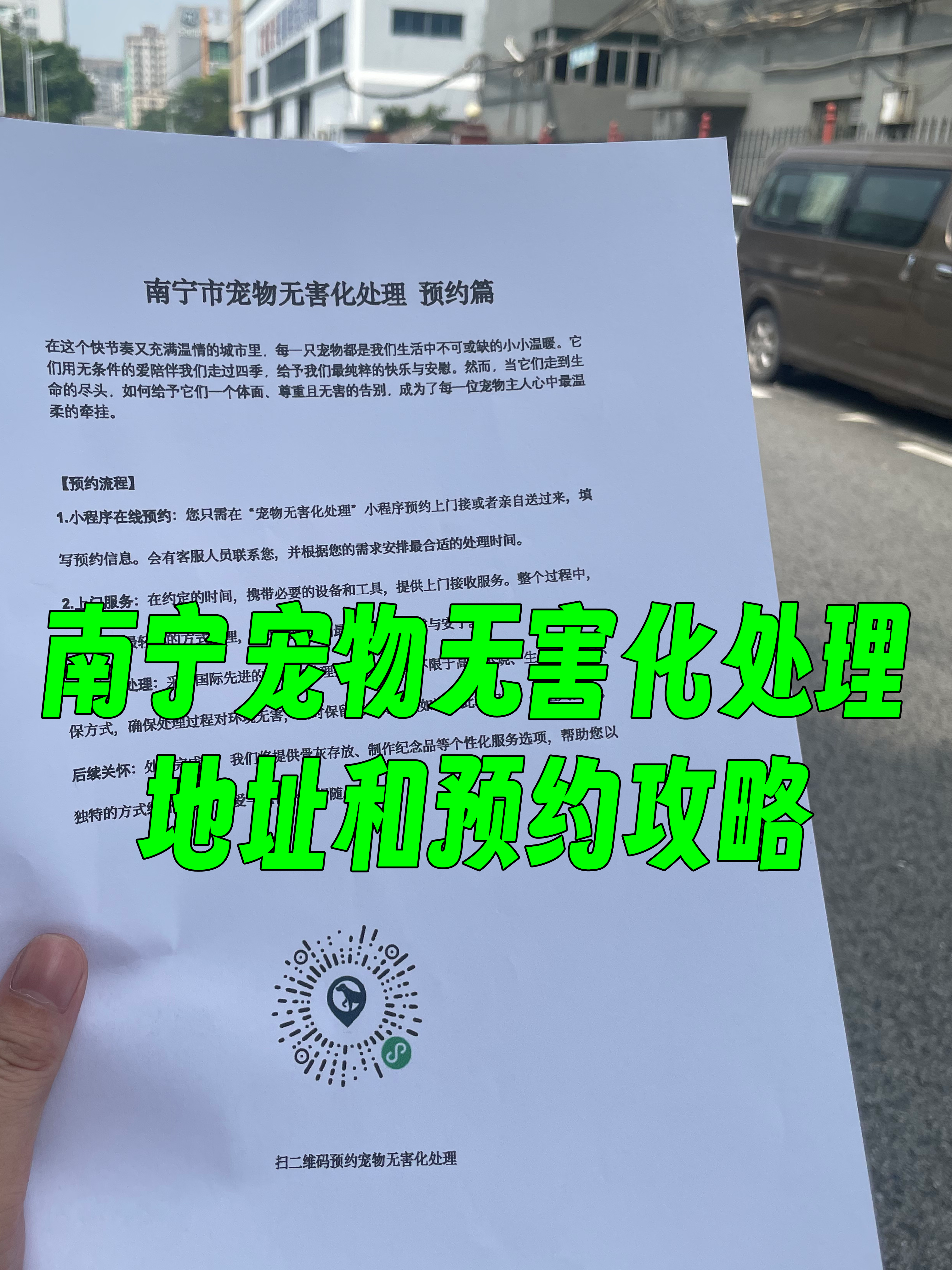 金湾宠物告别