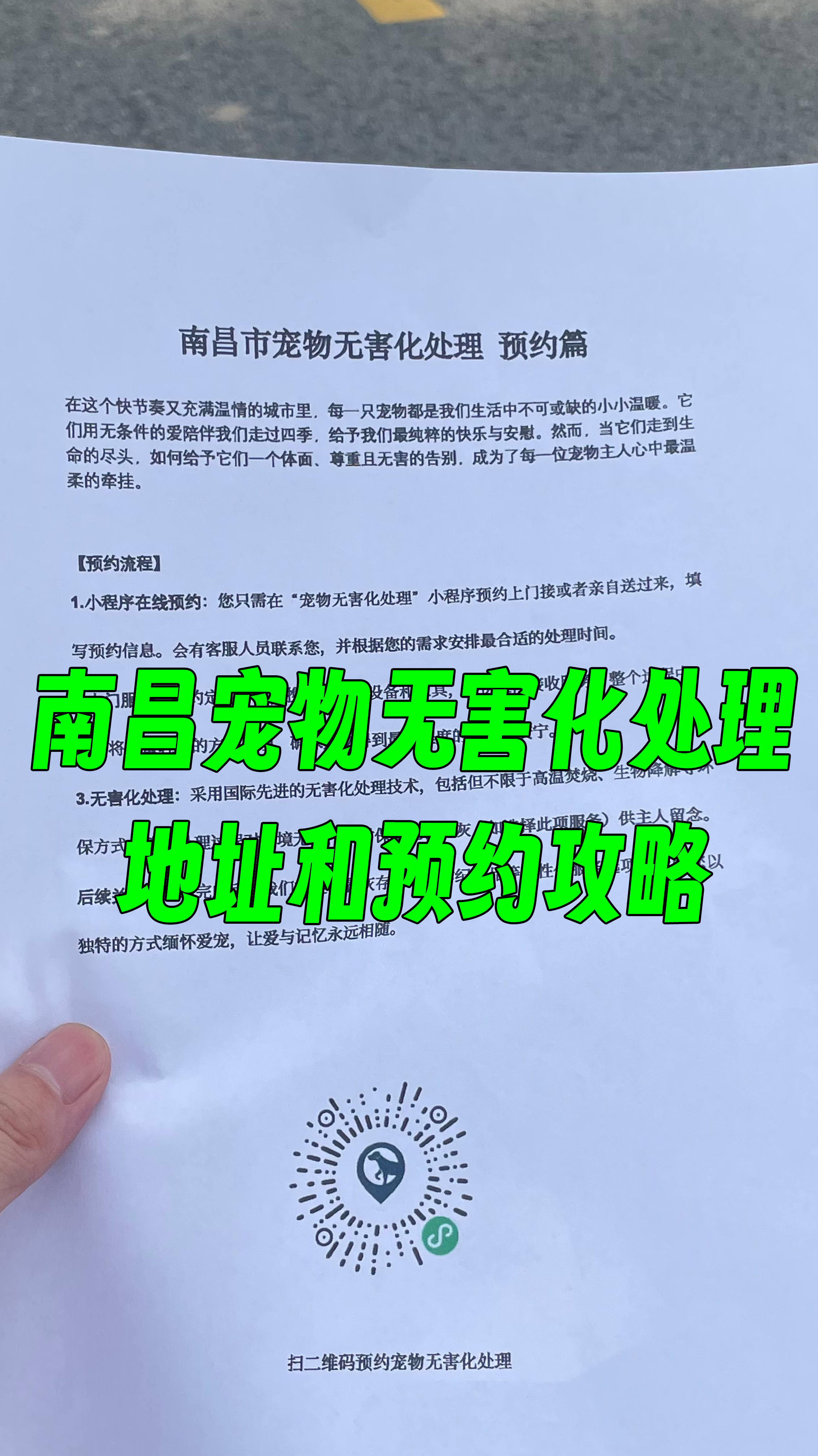 太原宠物无害化处理