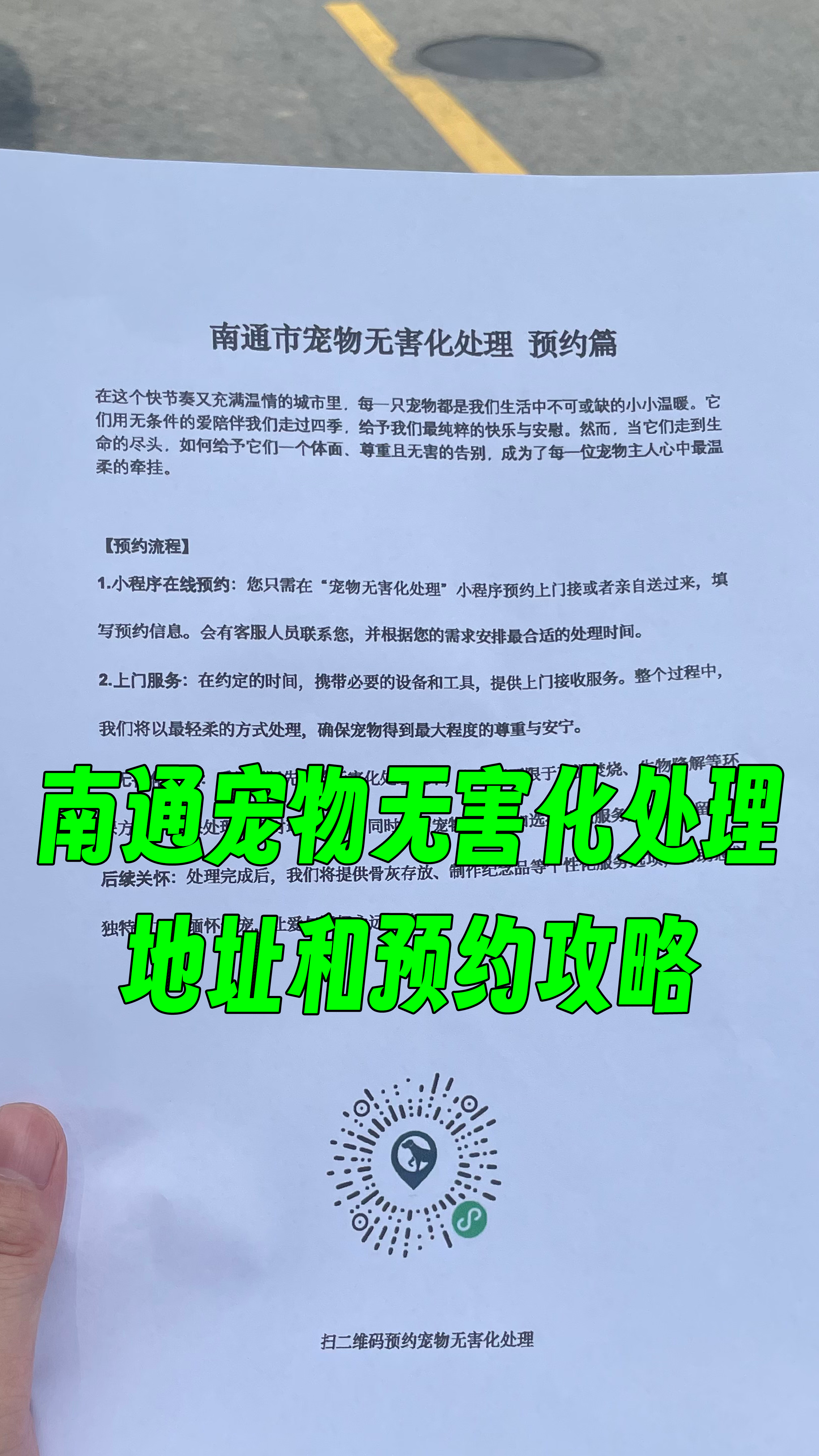 金湾宠物接运服务