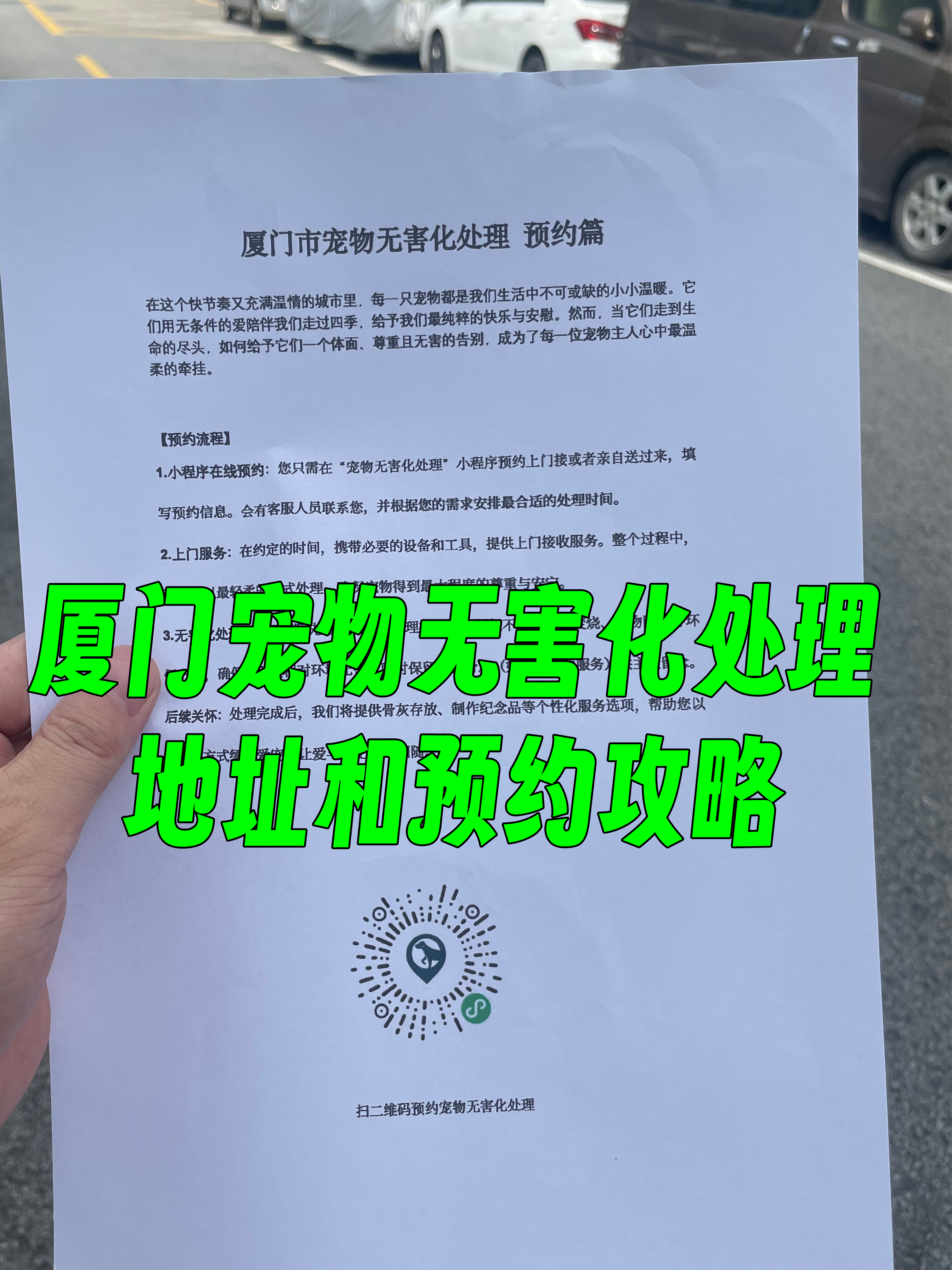 衡阳宠物无害化处理