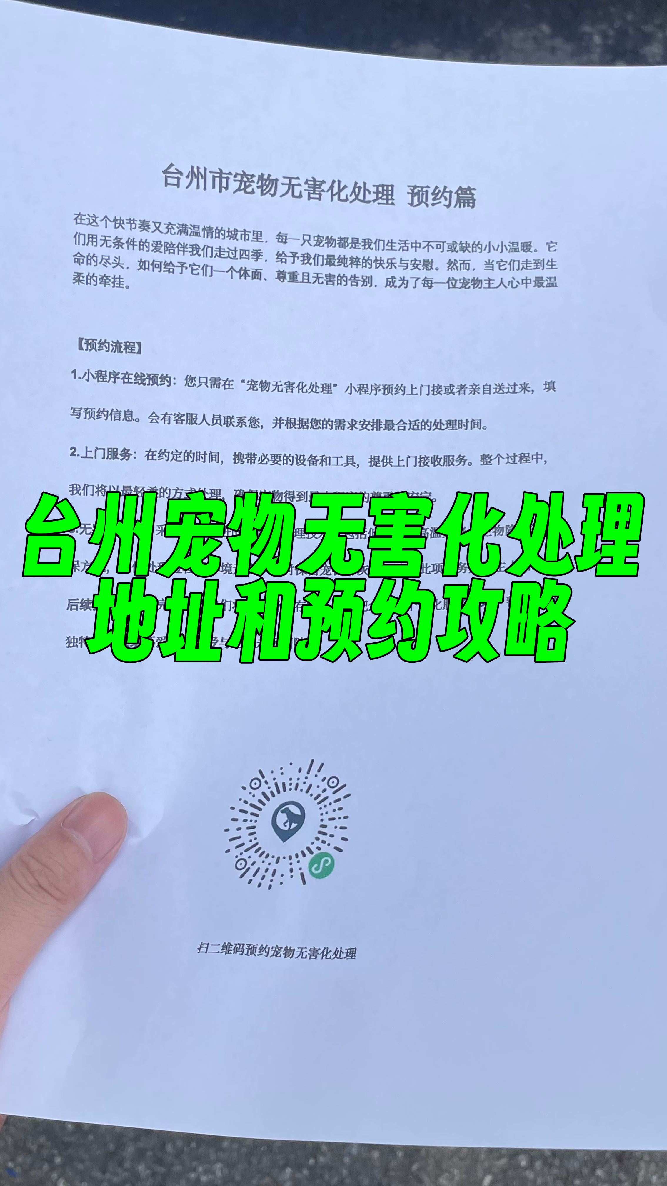 金湾宠物骨灰安置