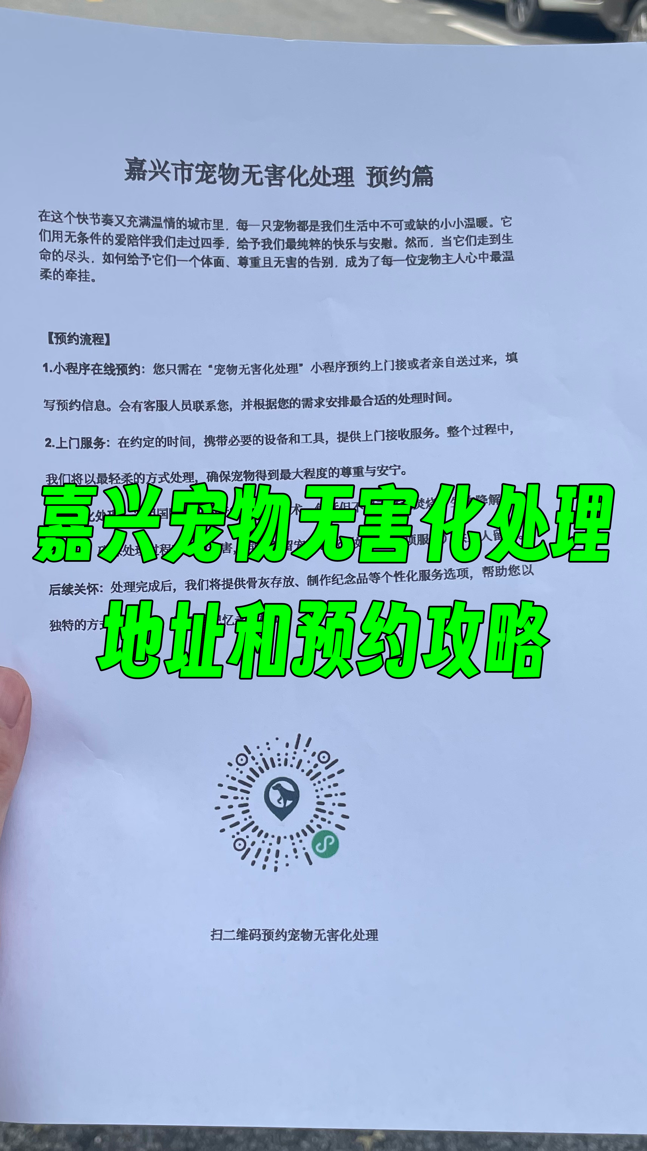 龙湖区宠摆渡服务