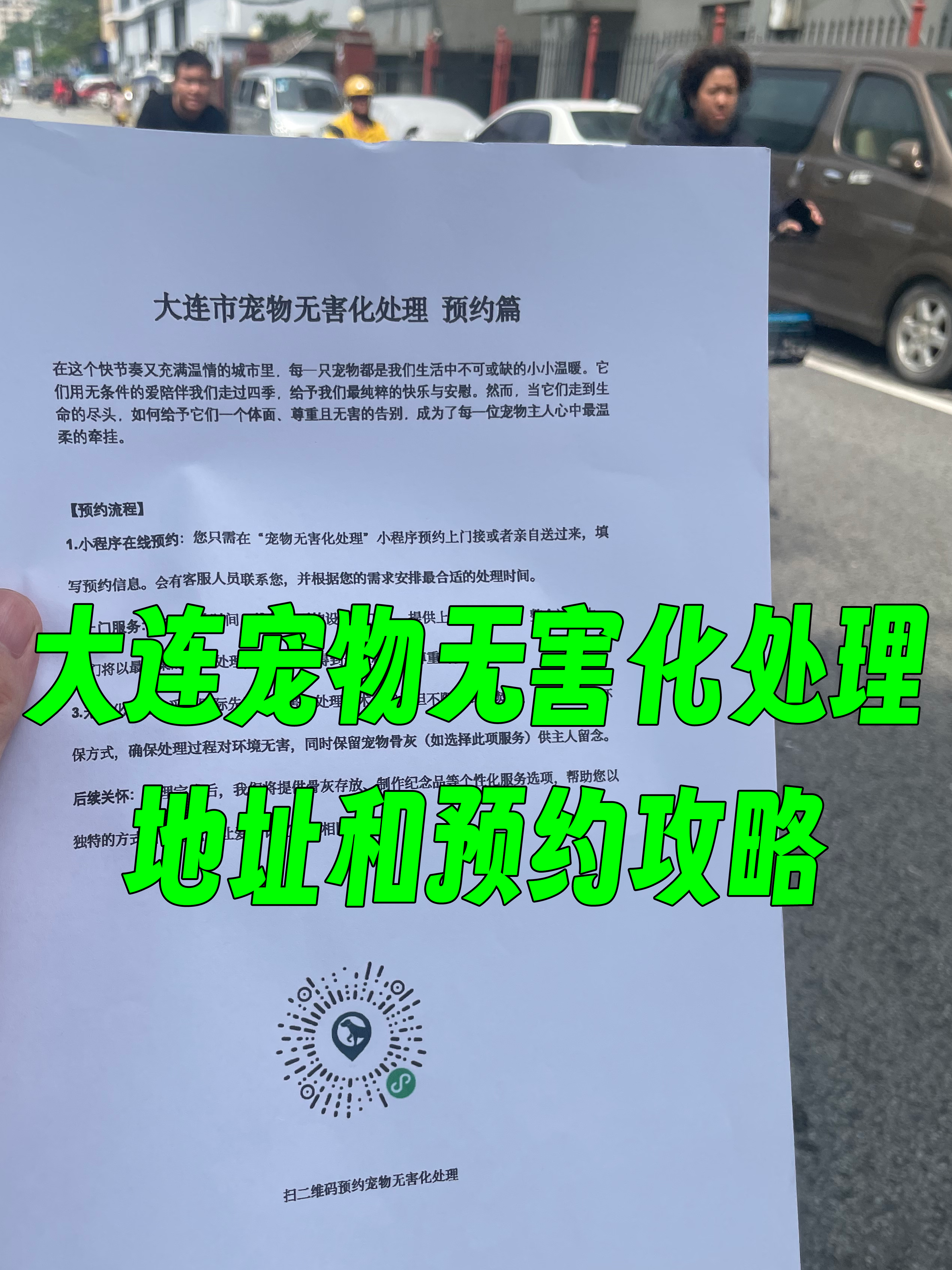 龙湖区宠物告别
