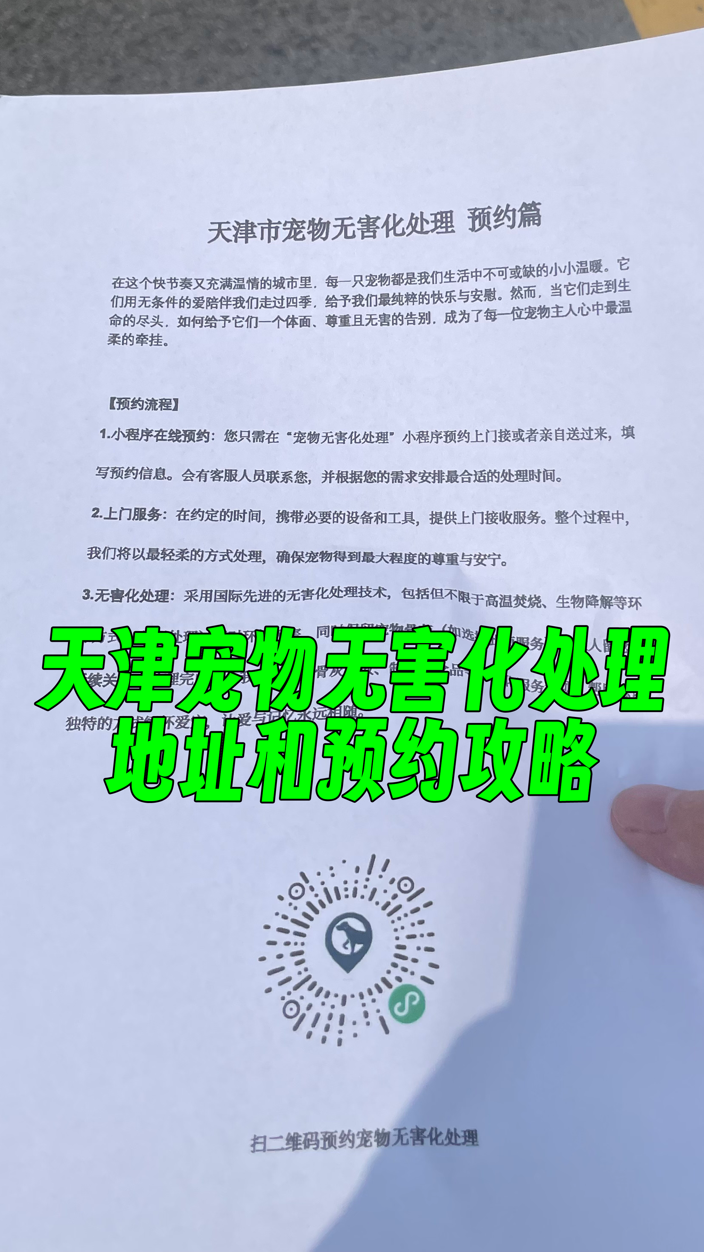 珠海宠物无害化处理