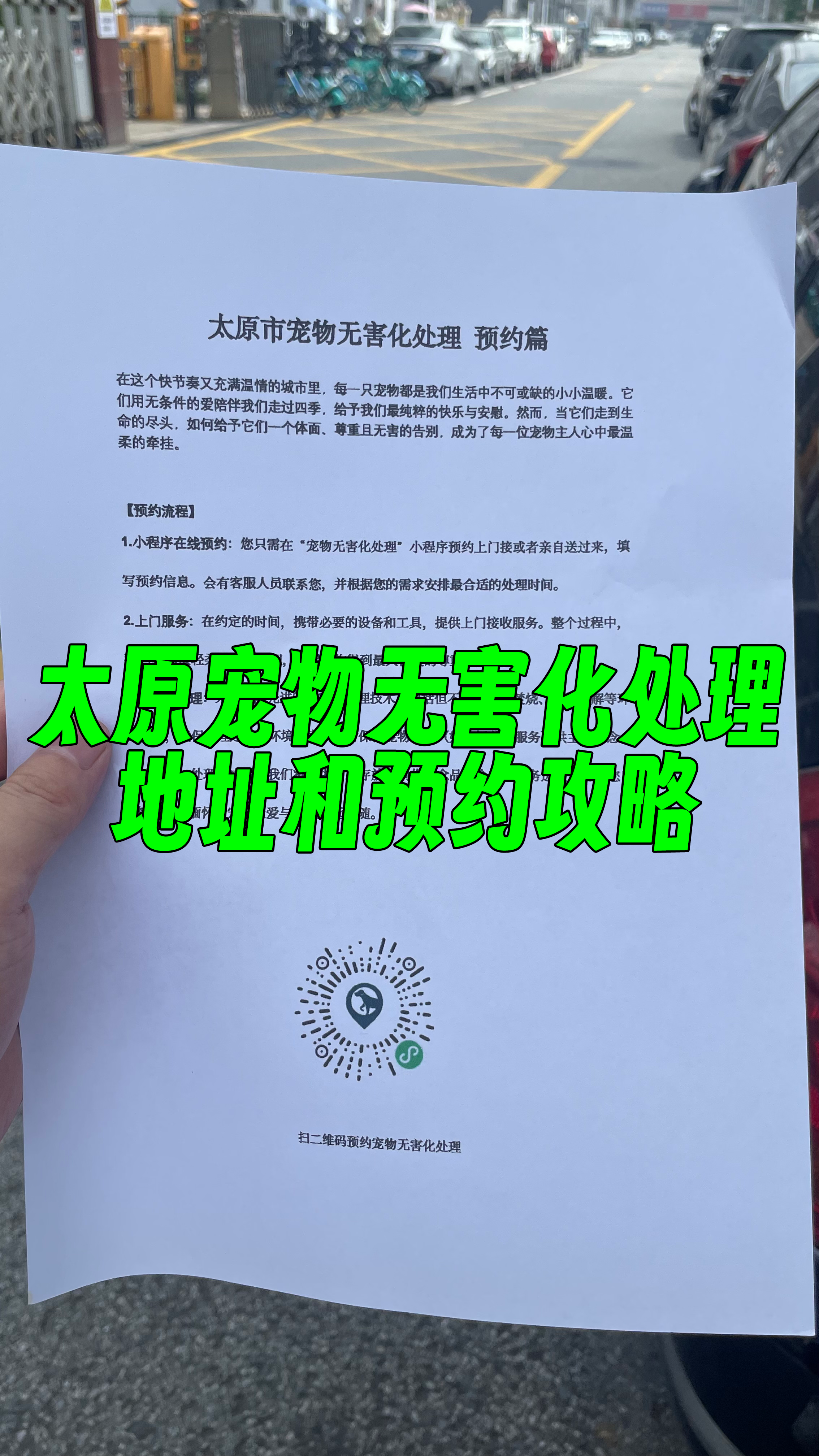 黄冈宠物遗体规范处理