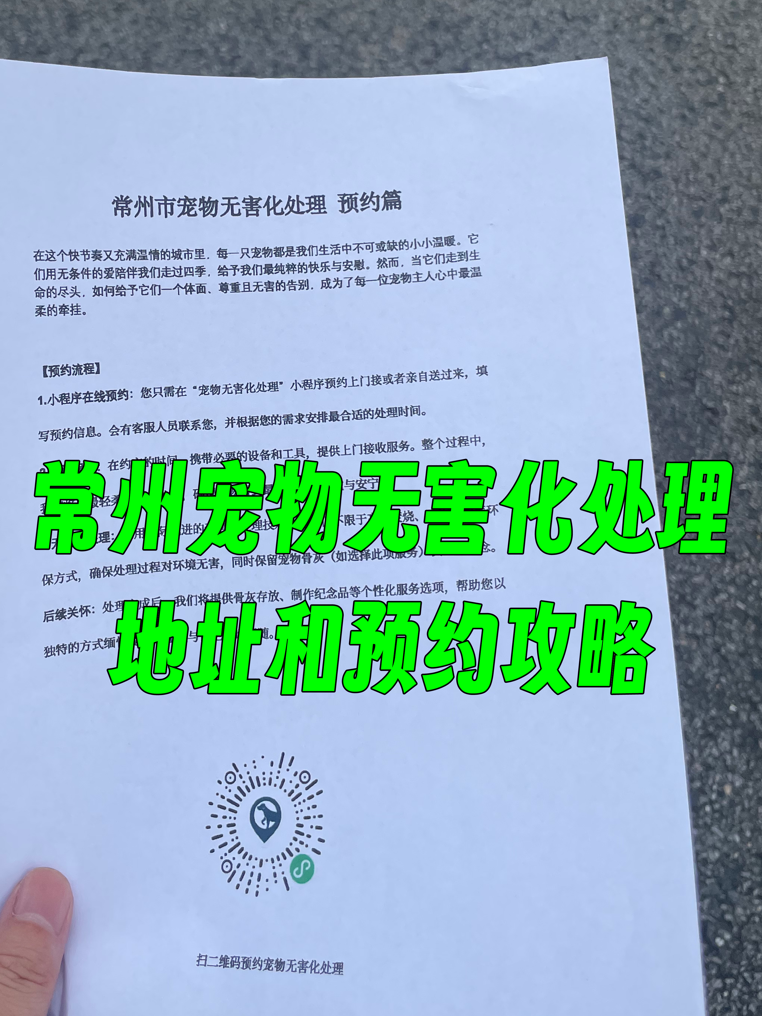龙湖区宠物骨灰安置