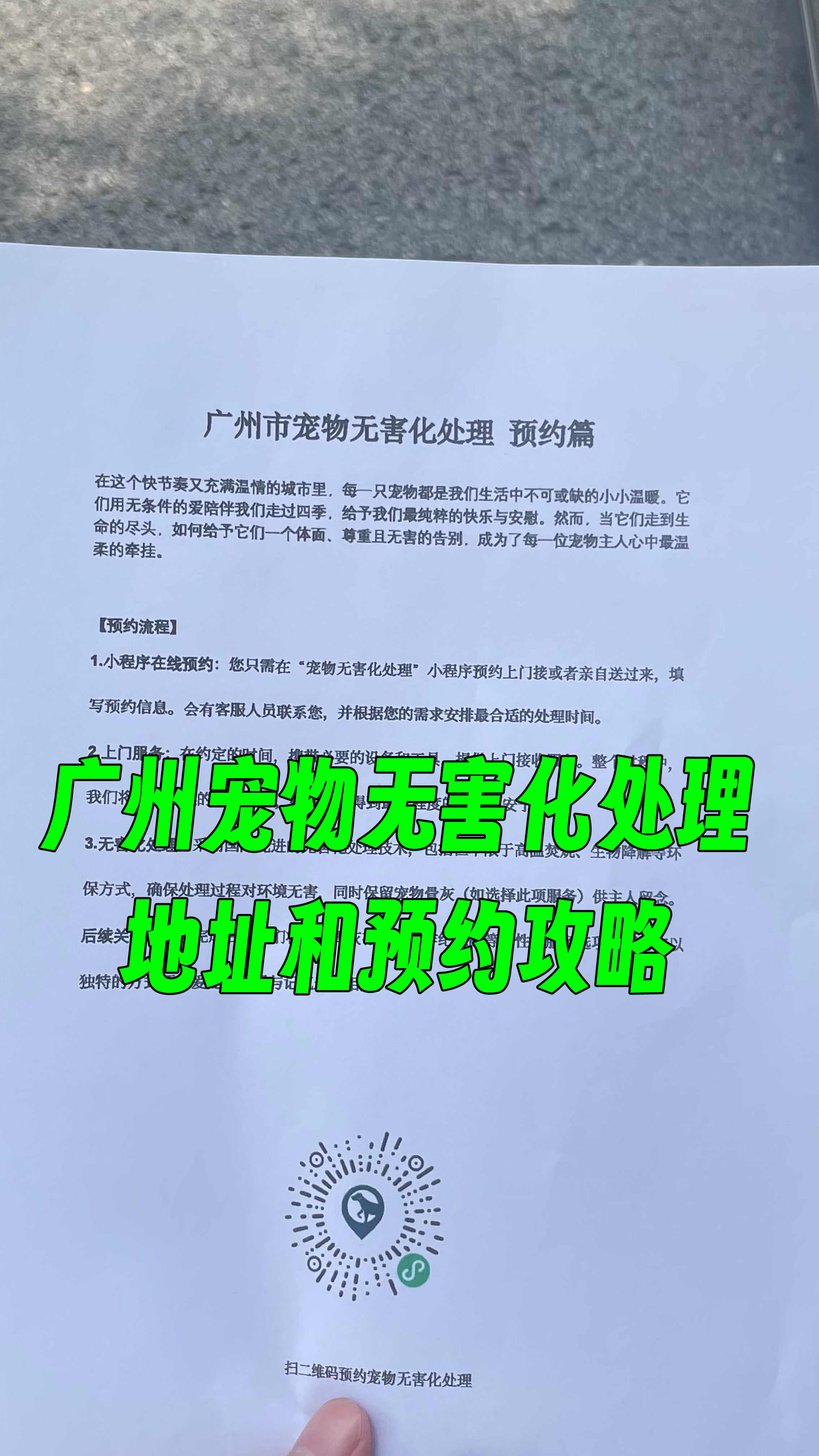 金平区宠物无害化处理