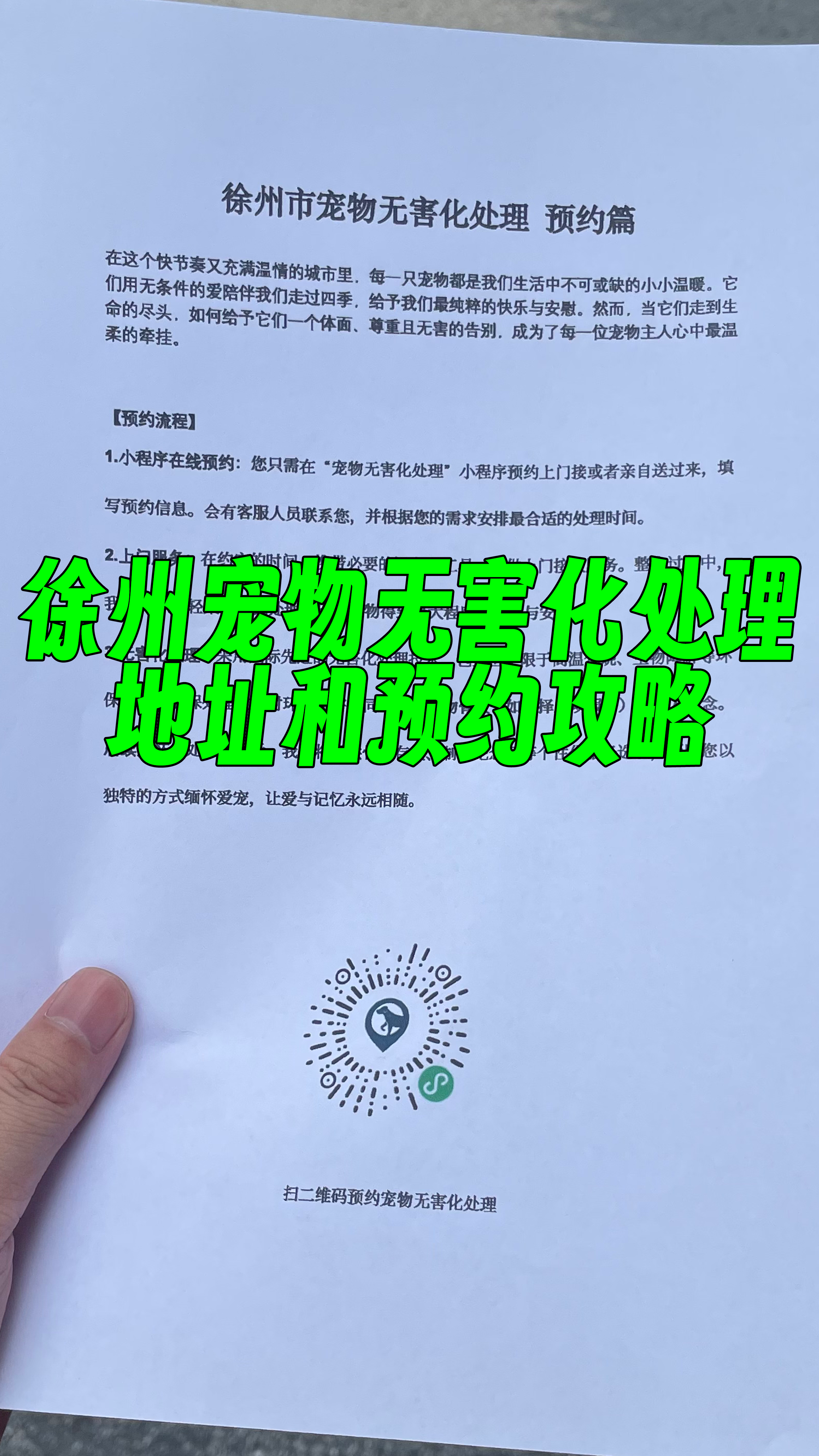 珠海宠物无害化处理