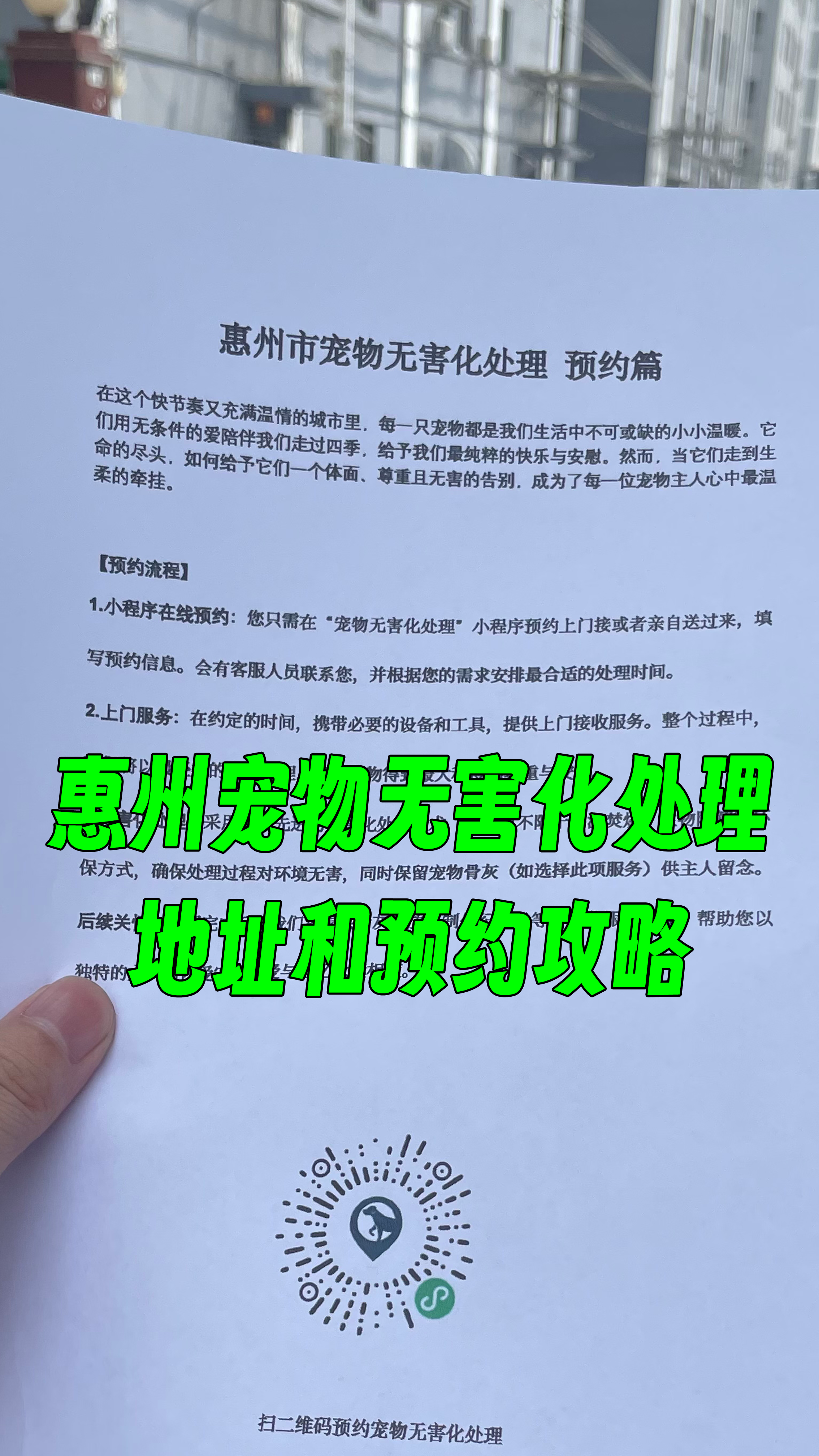 鹰潭宠物无害化处理