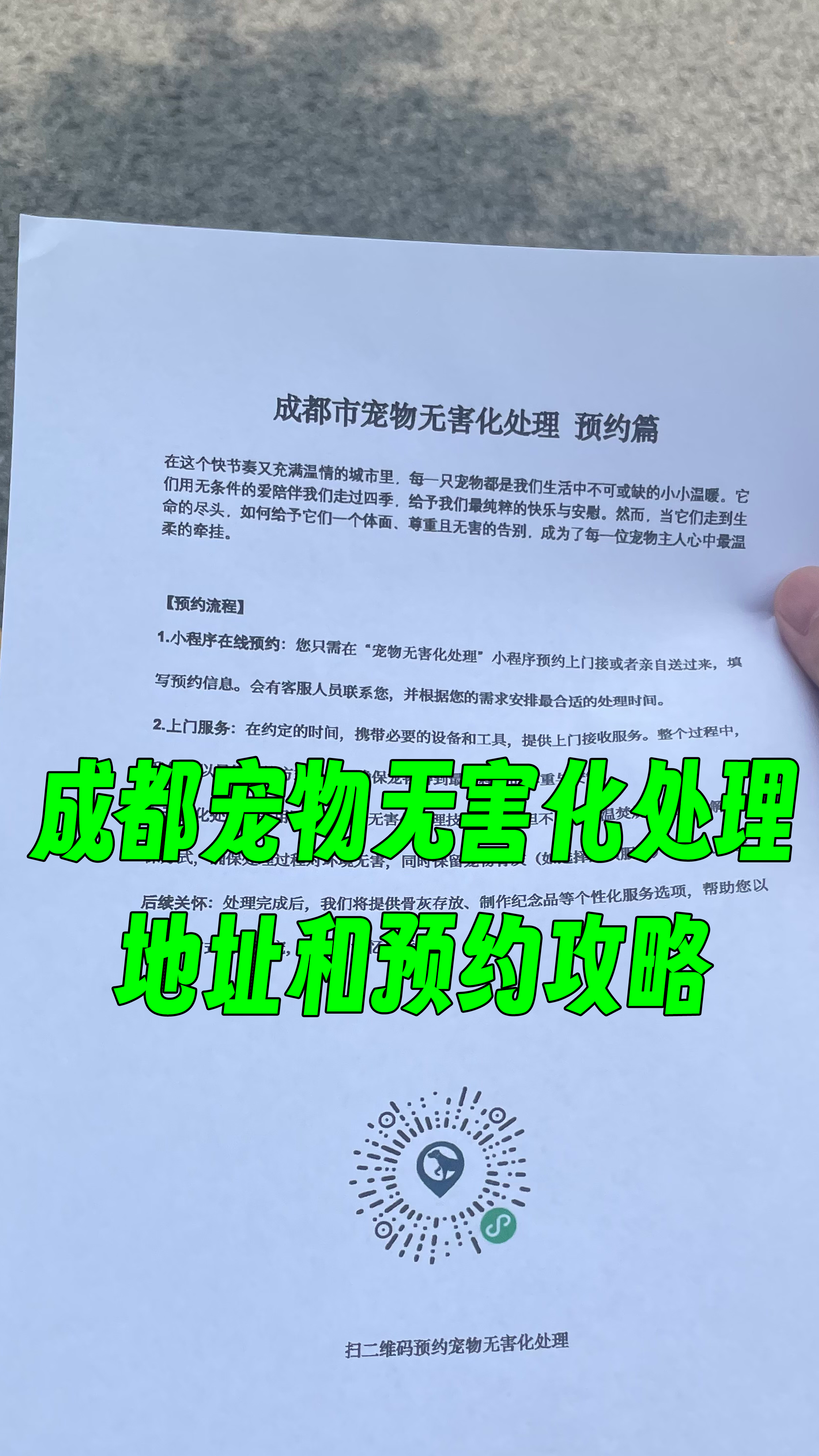 金平区宠物告别