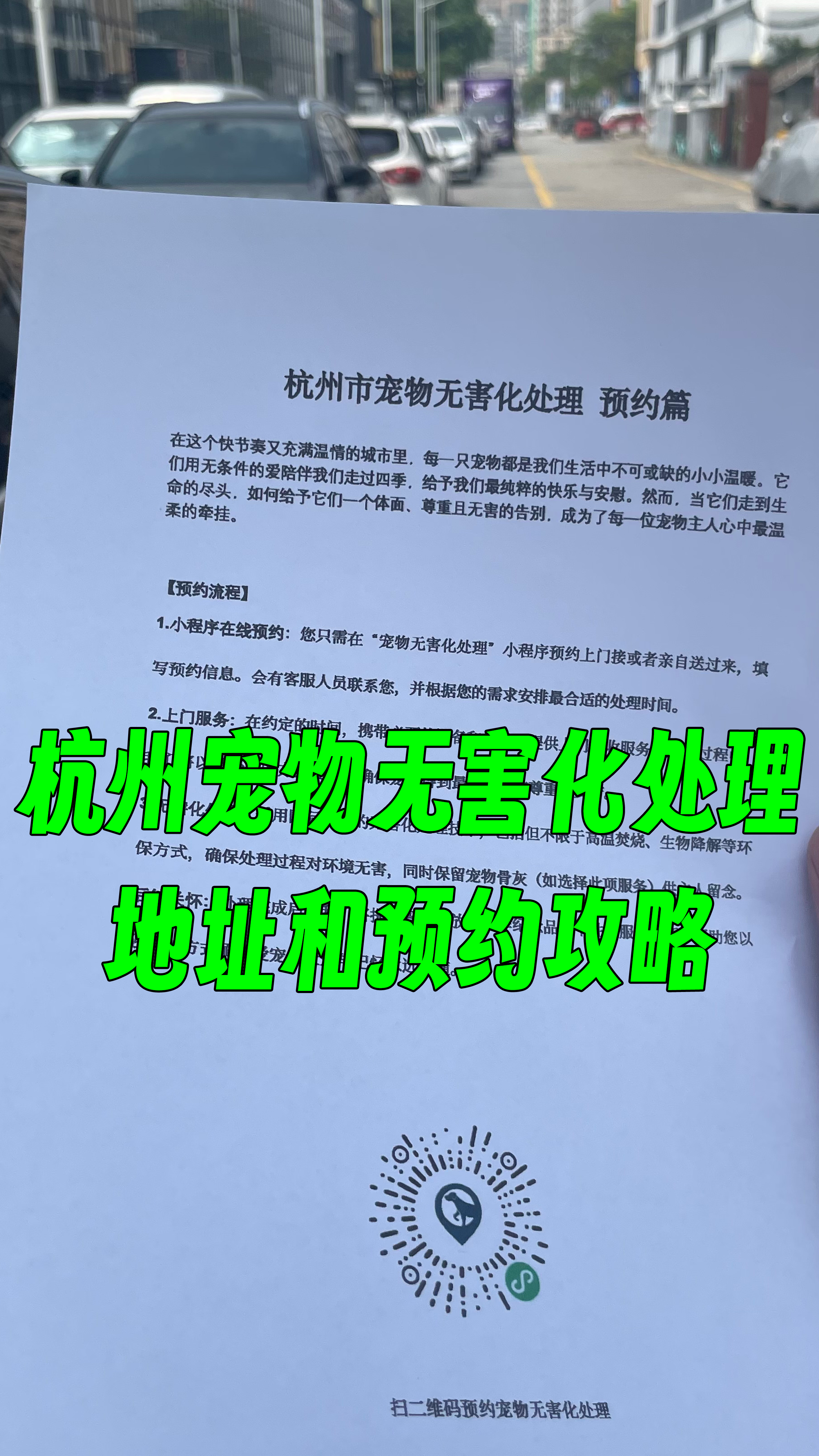 金平区宠物告别厅