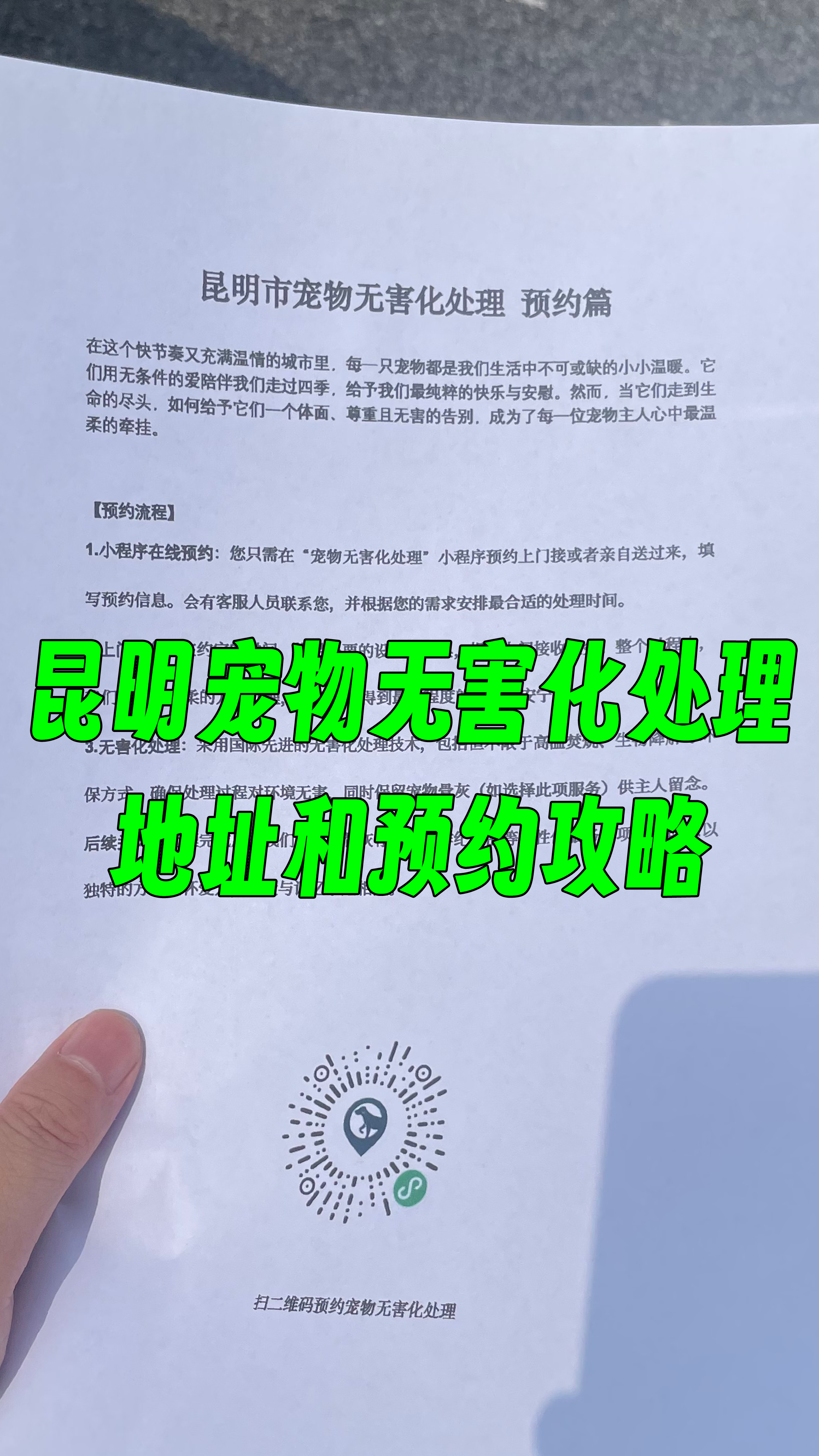 西安宠物无害化处理