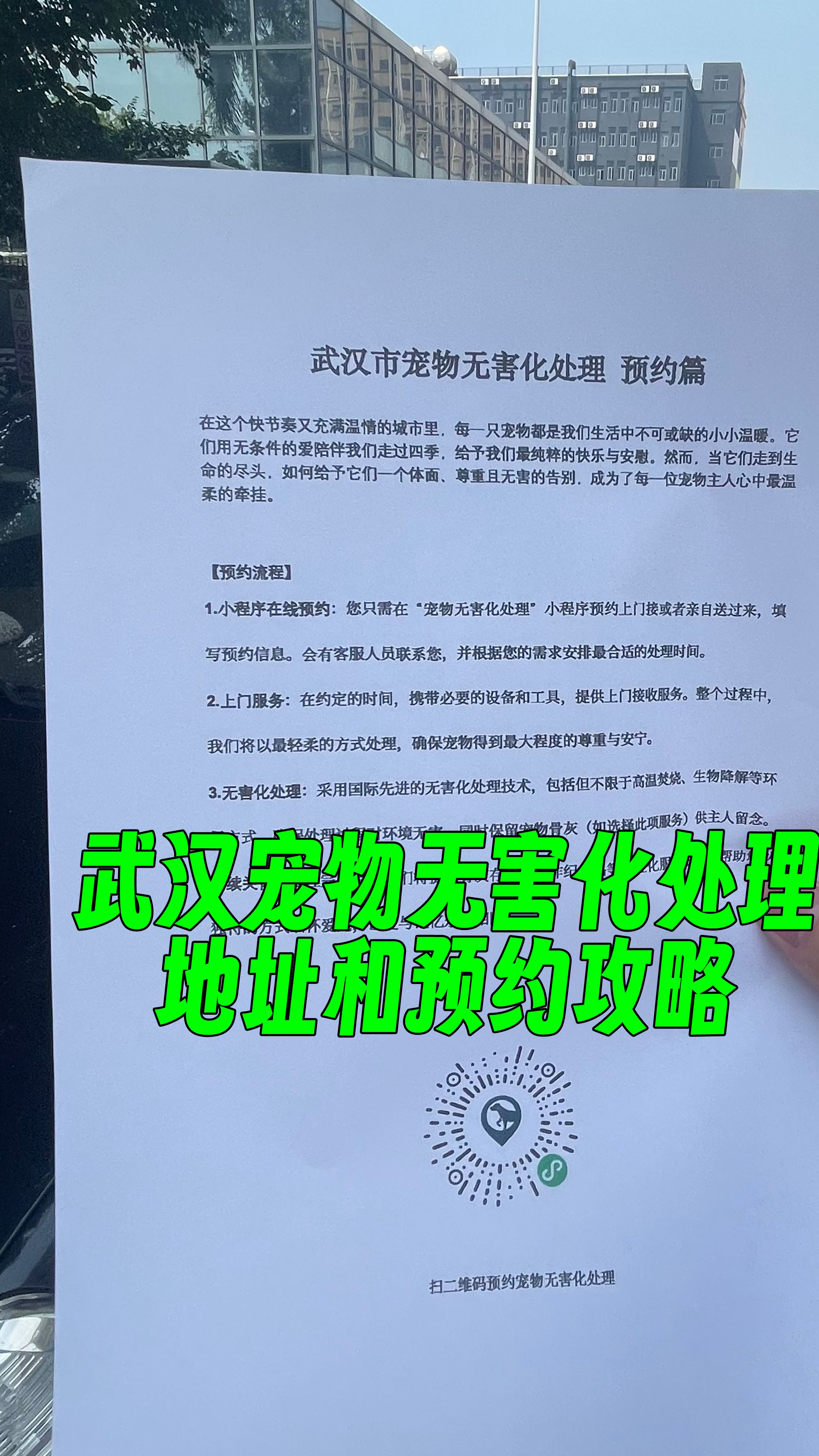 金平区宠物骨灰安置