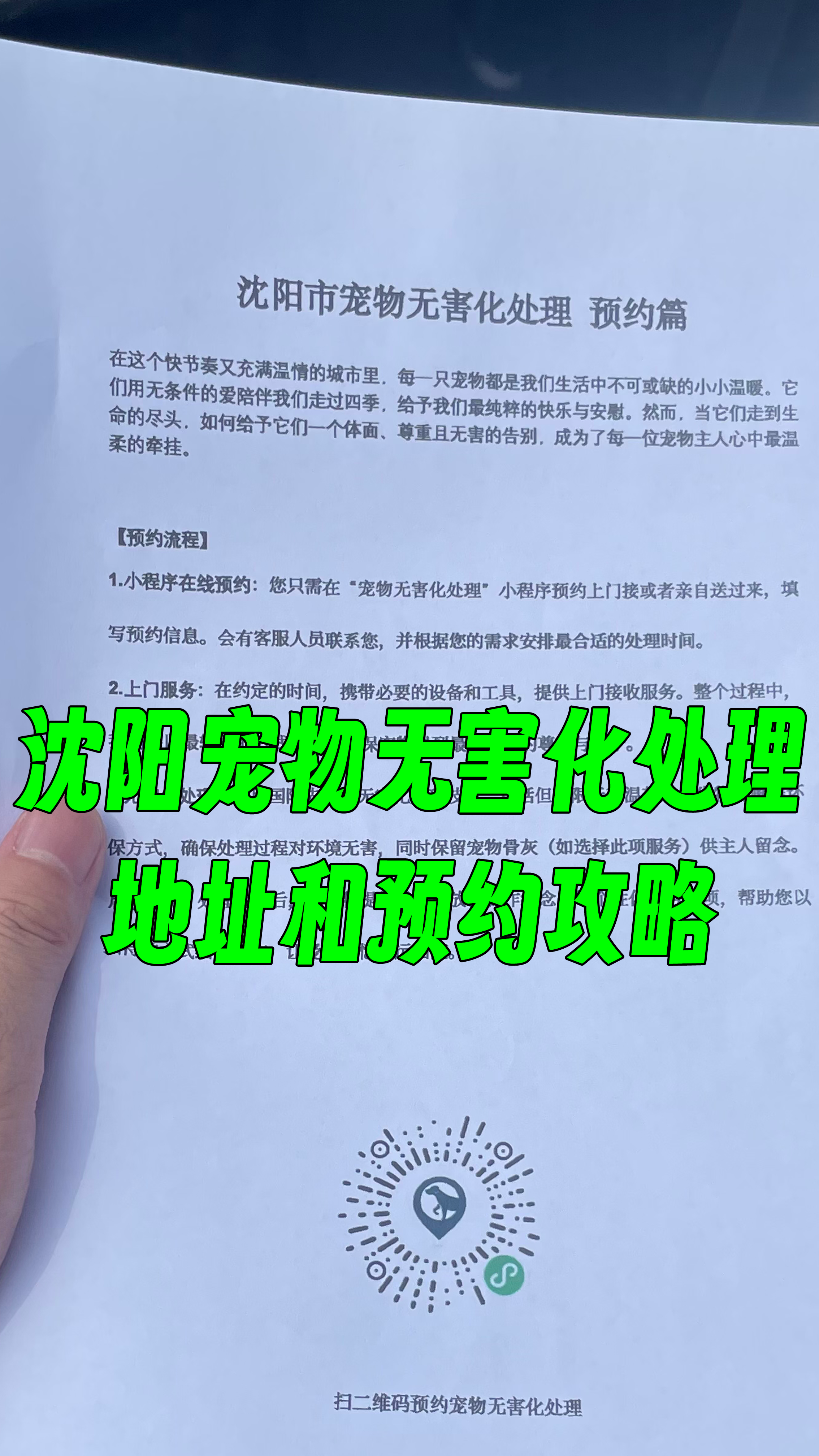 濠江区宠物无害化处理