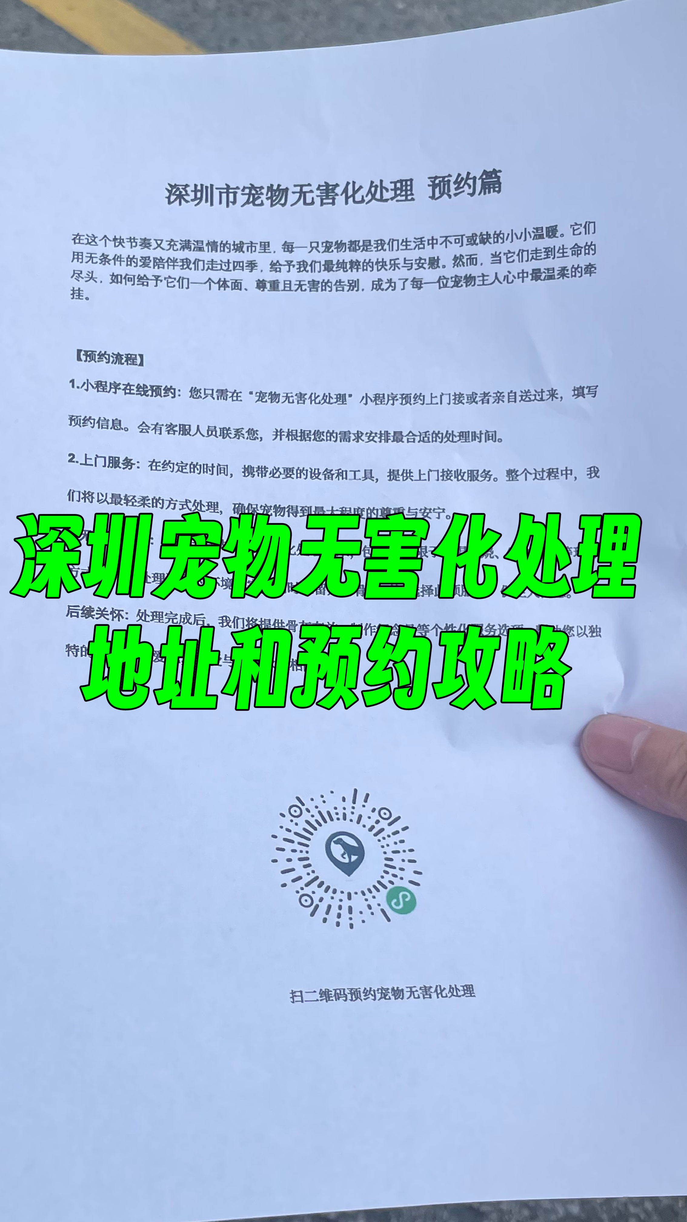 濠江区宠物告别