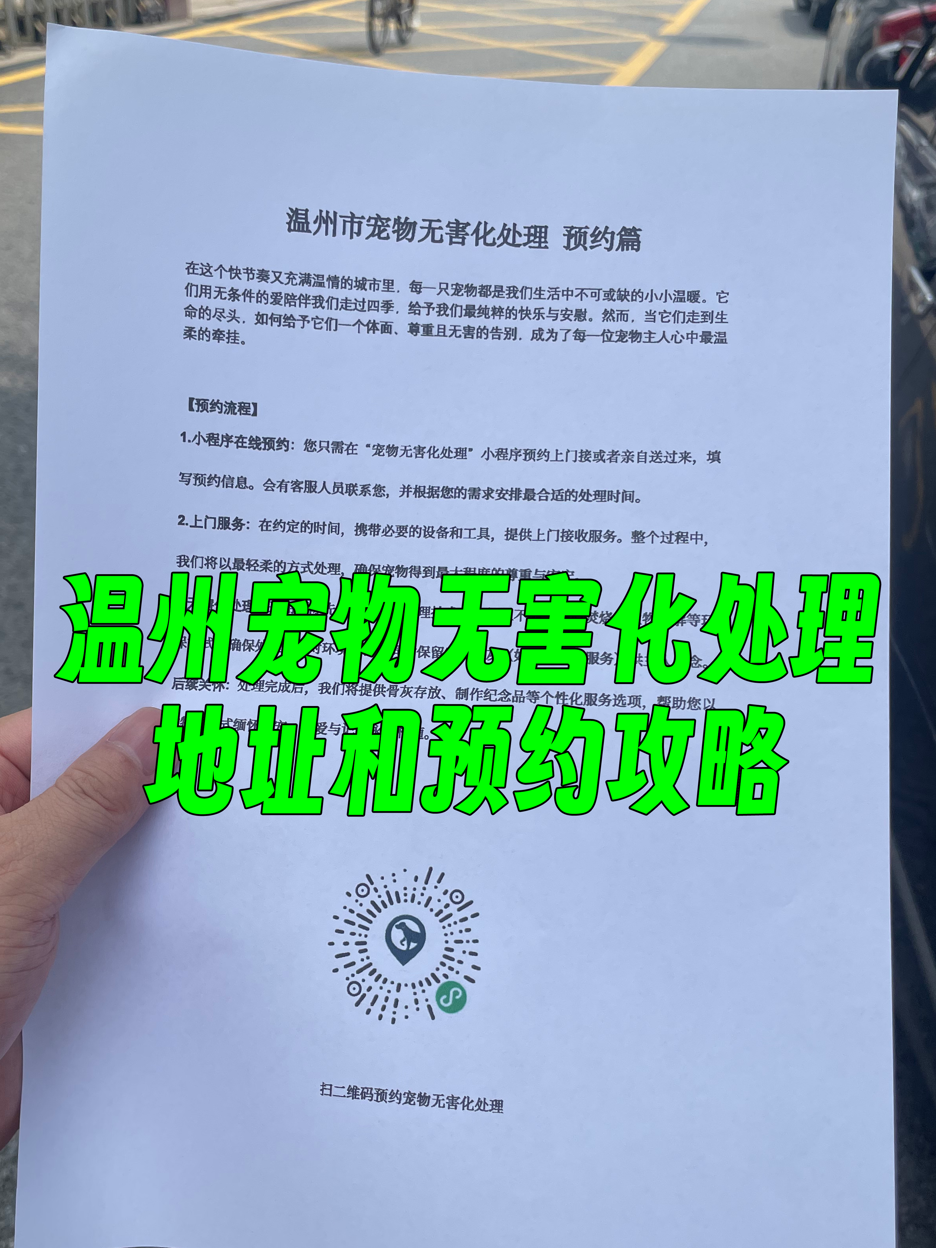 濠江区宠物无害化处理流程