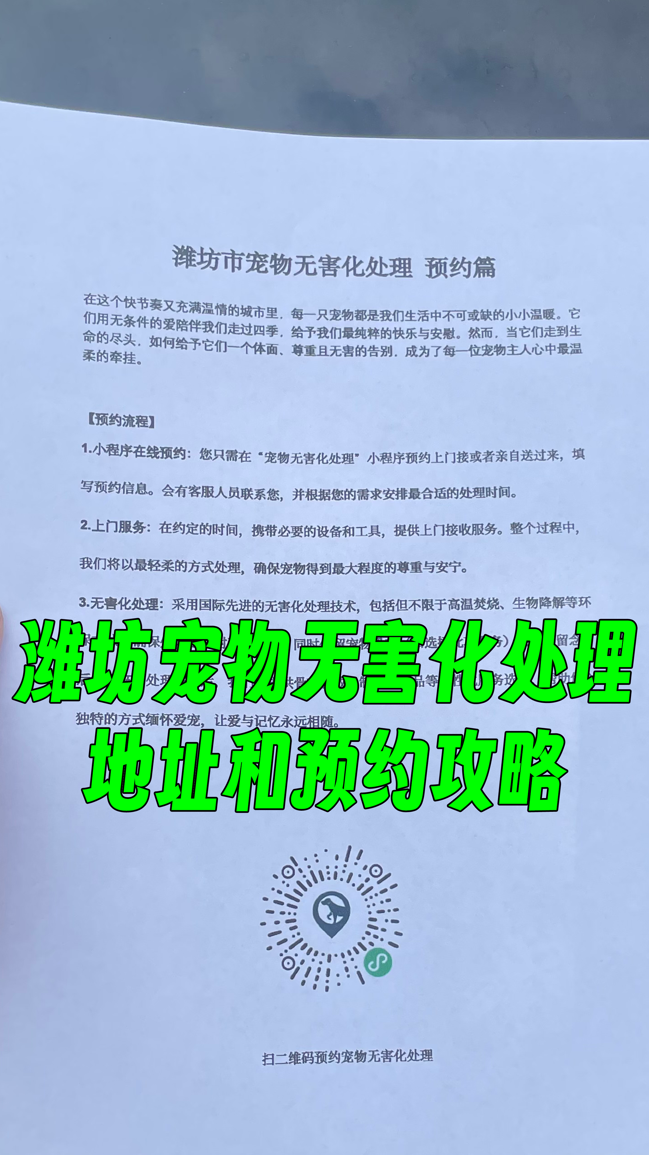 濠江区宠物接运服务