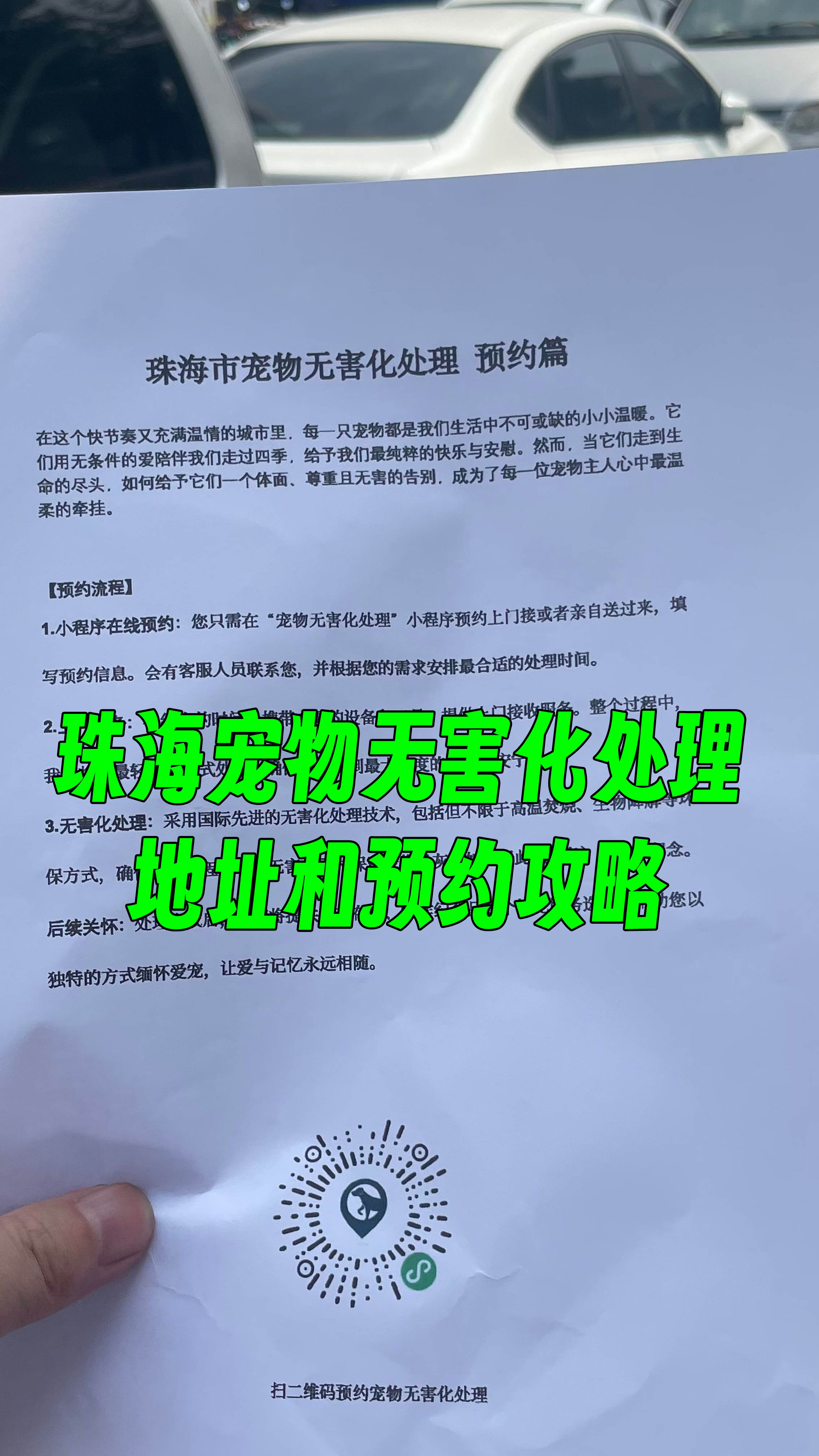 赣州宠物无害化处理机构