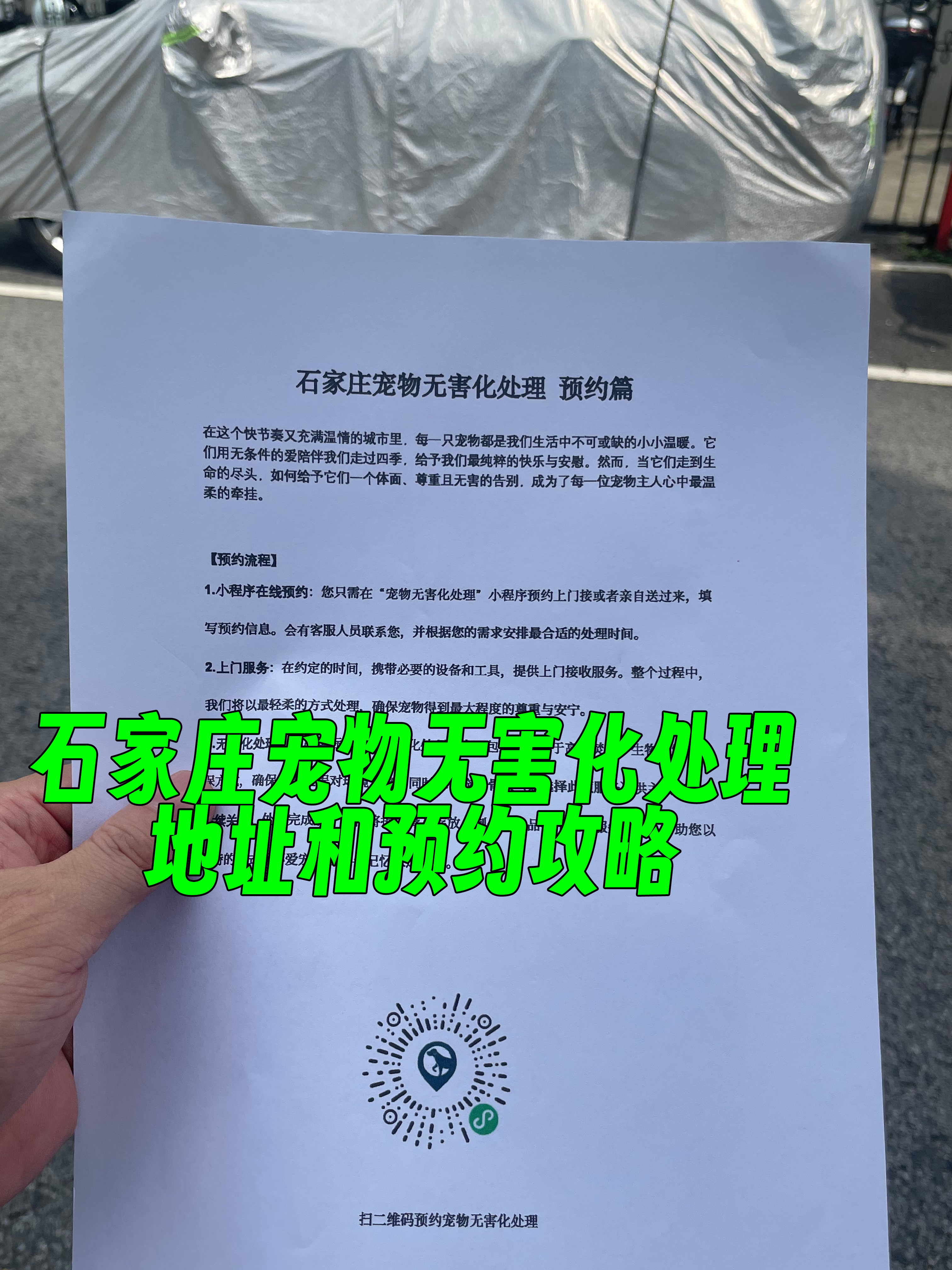 潮阳区宠物无害化处理