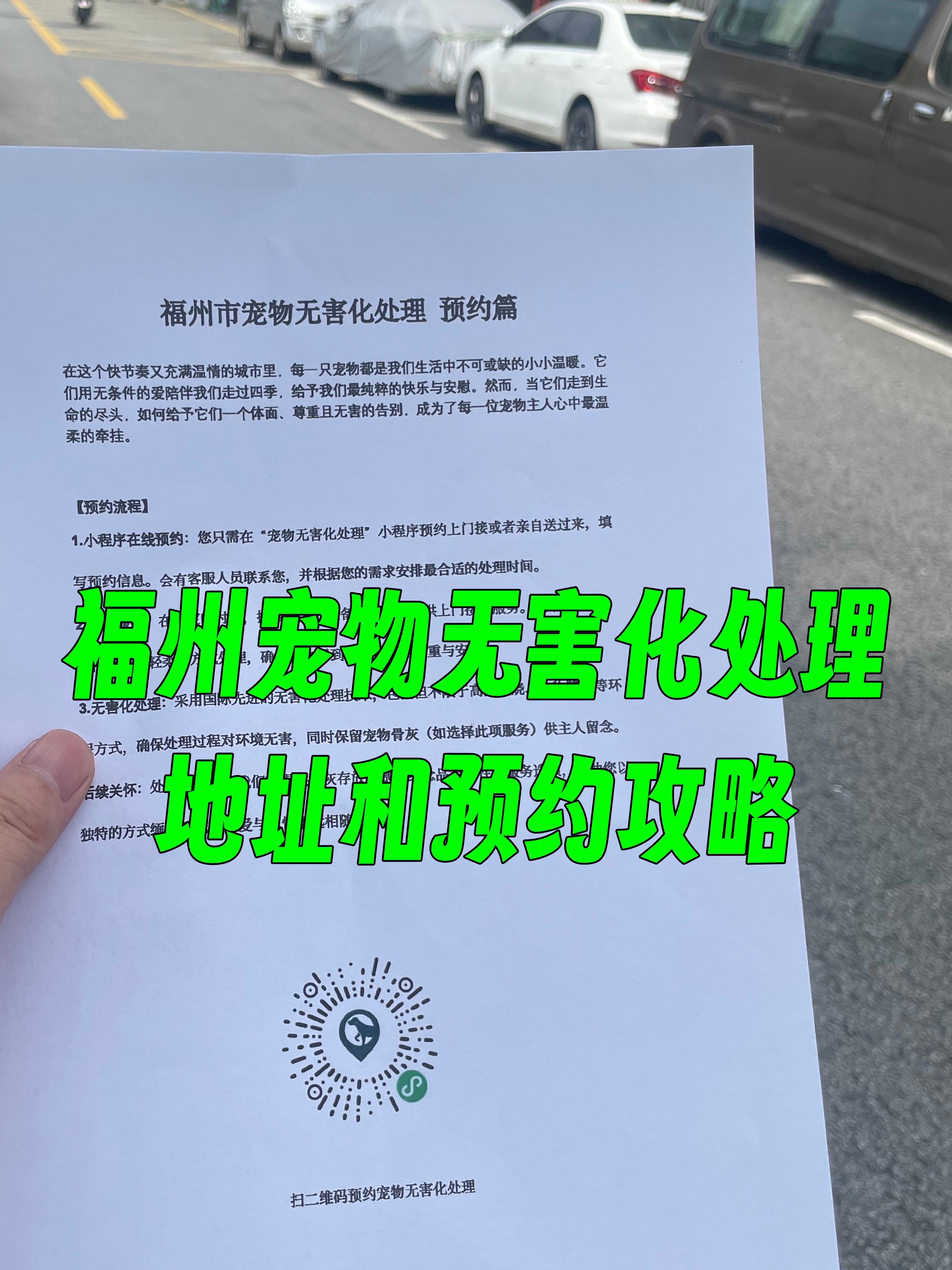 潮阳区宠物无害化