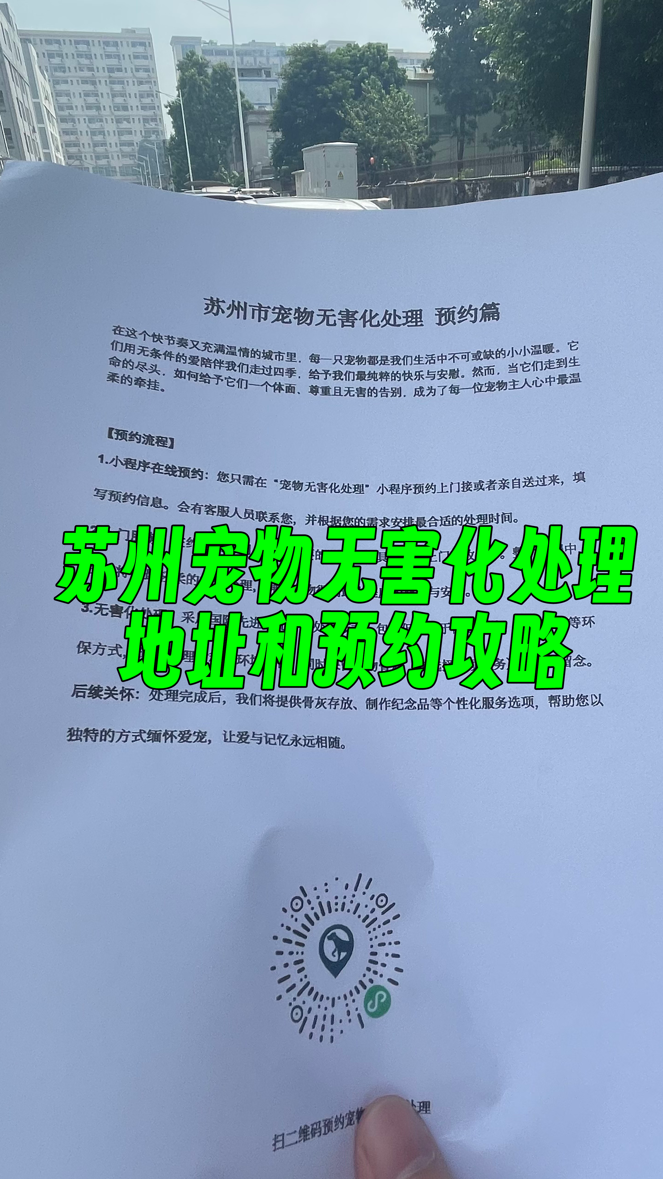 潮阳区宠物告别