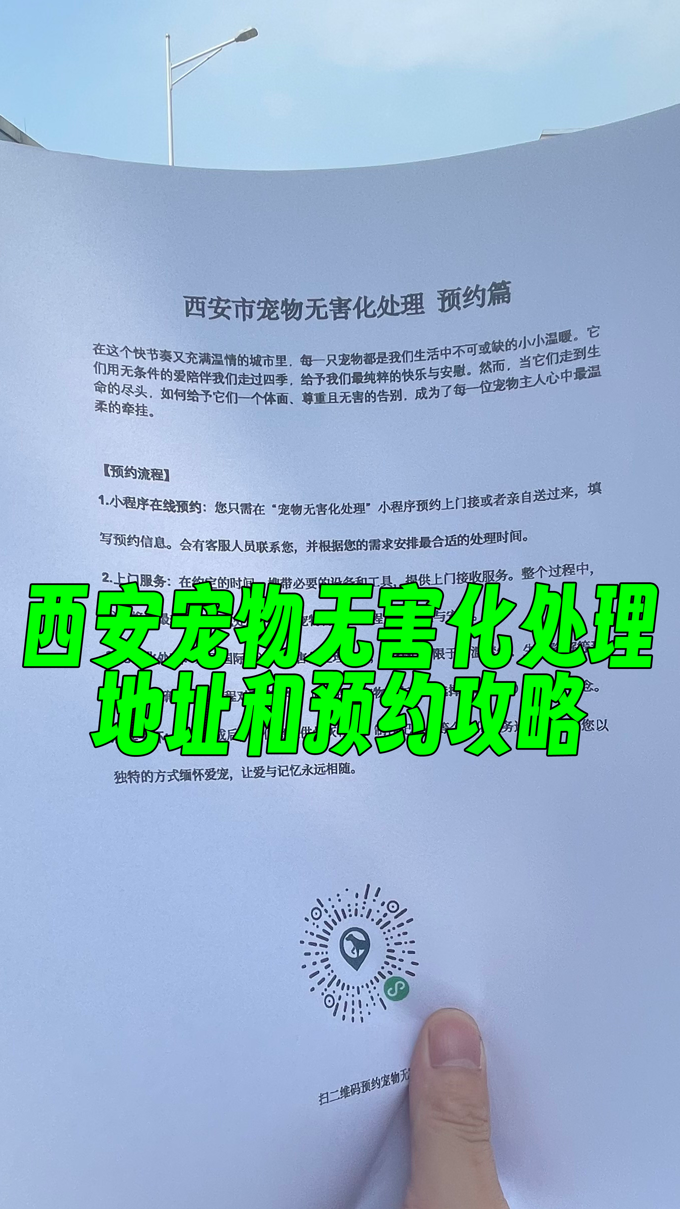 随州宠物遗体规范处理