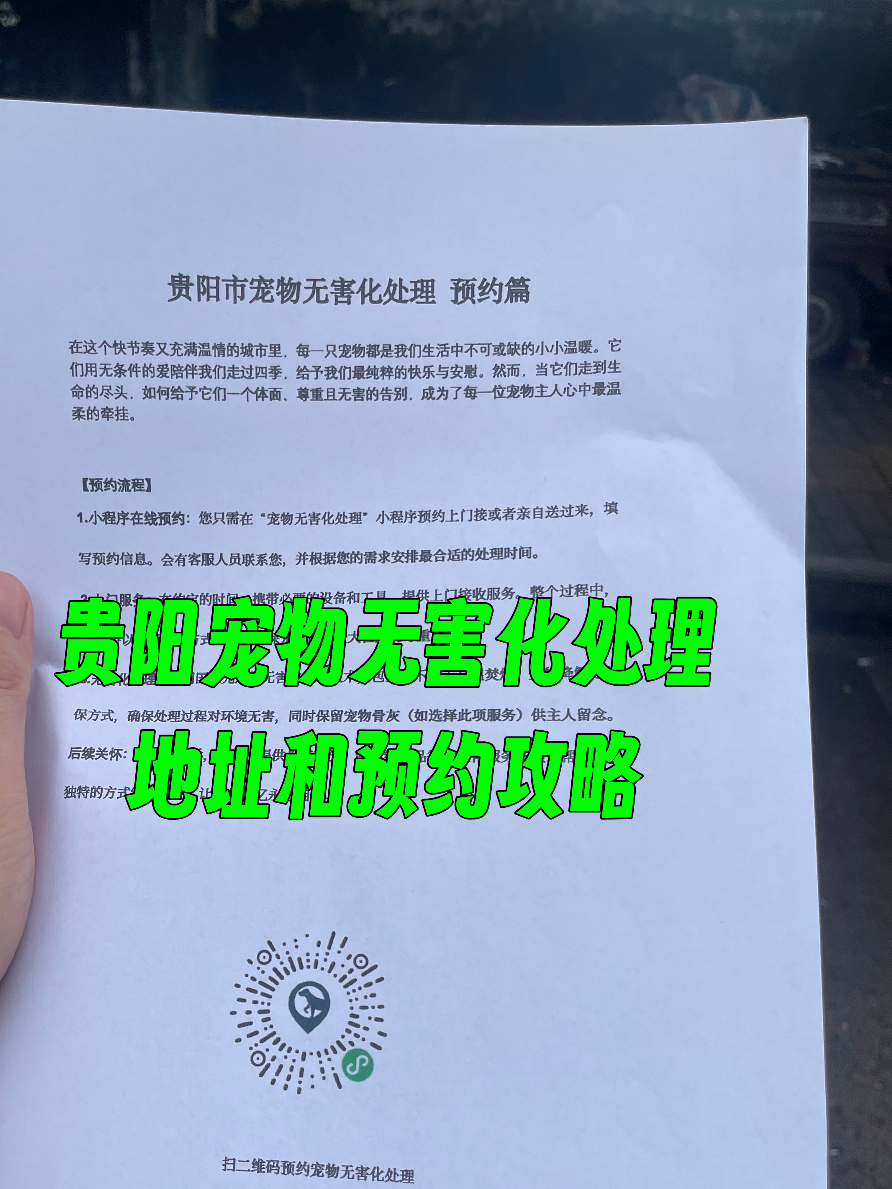潮阳区宠物接运服务