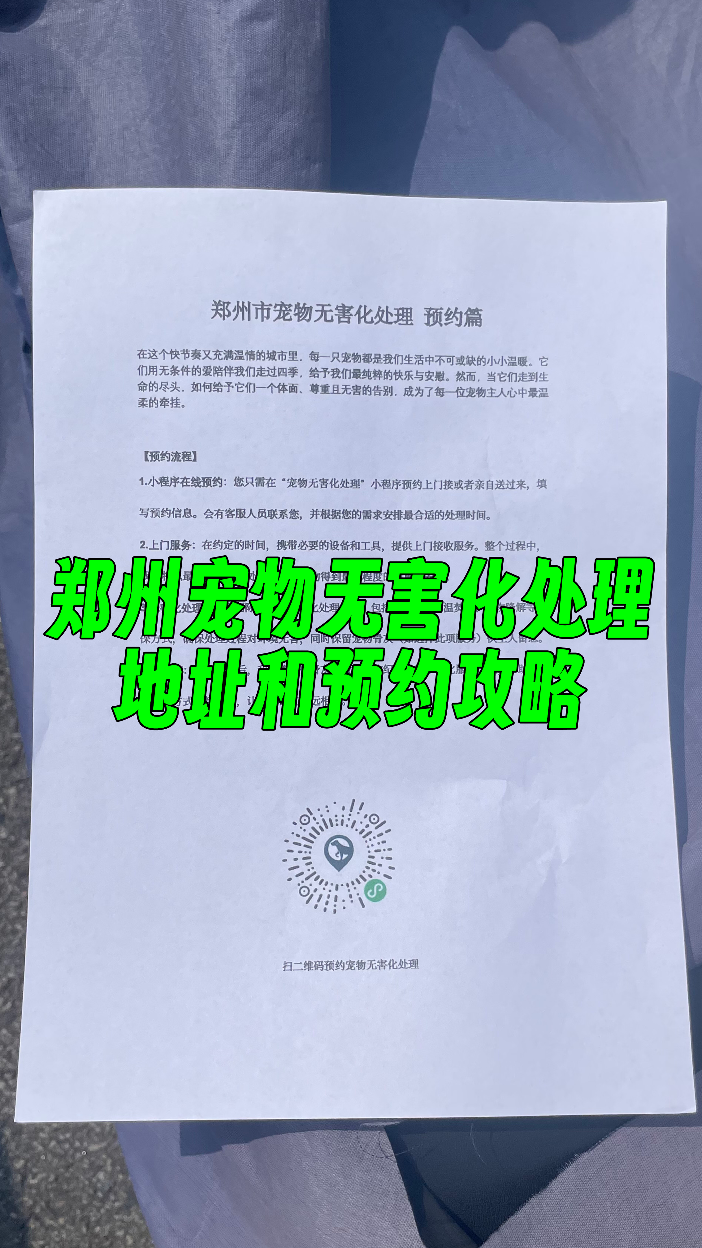 潮阳区宠物告别厅