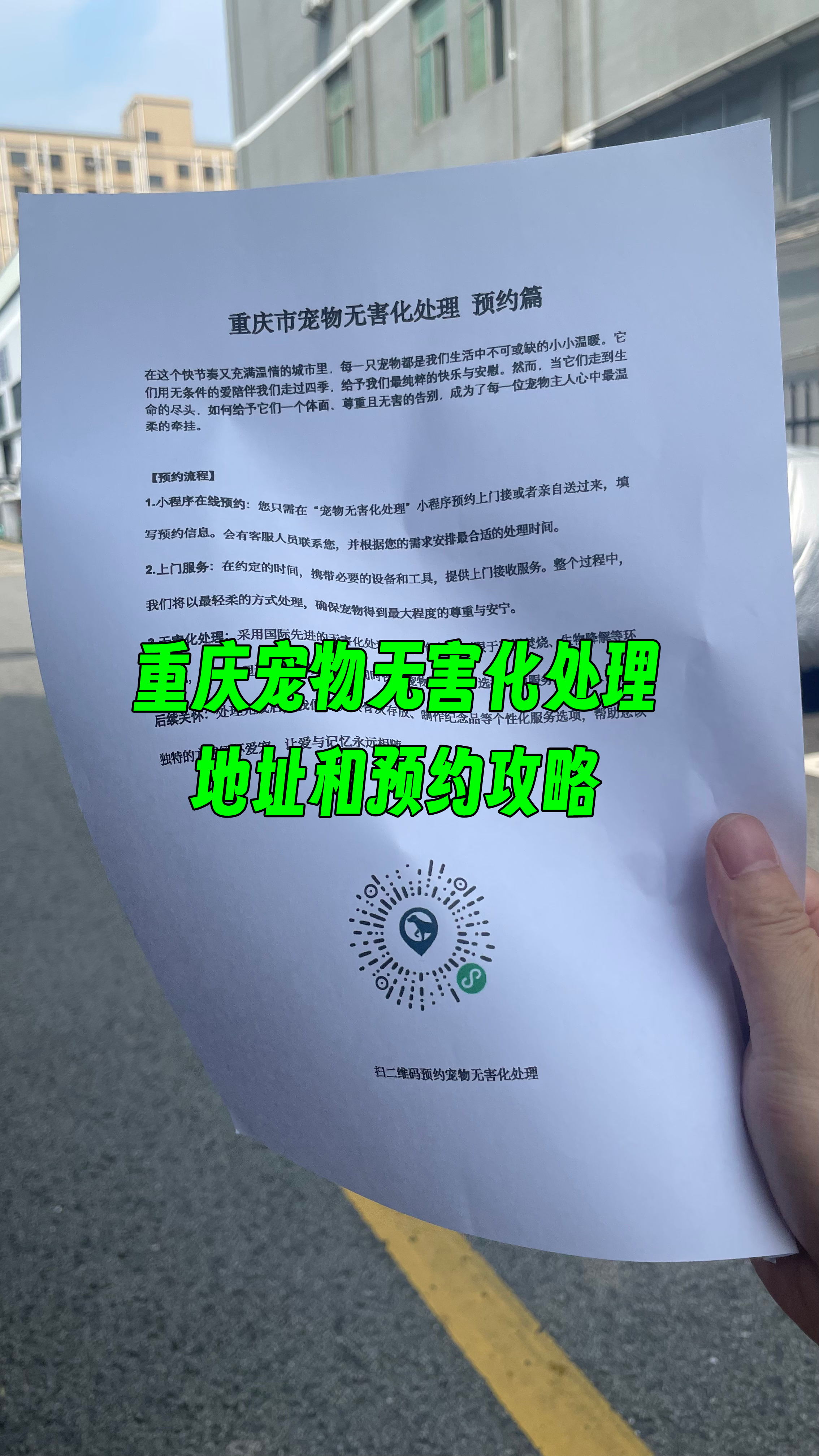 潮阳区宠物骨灰安置