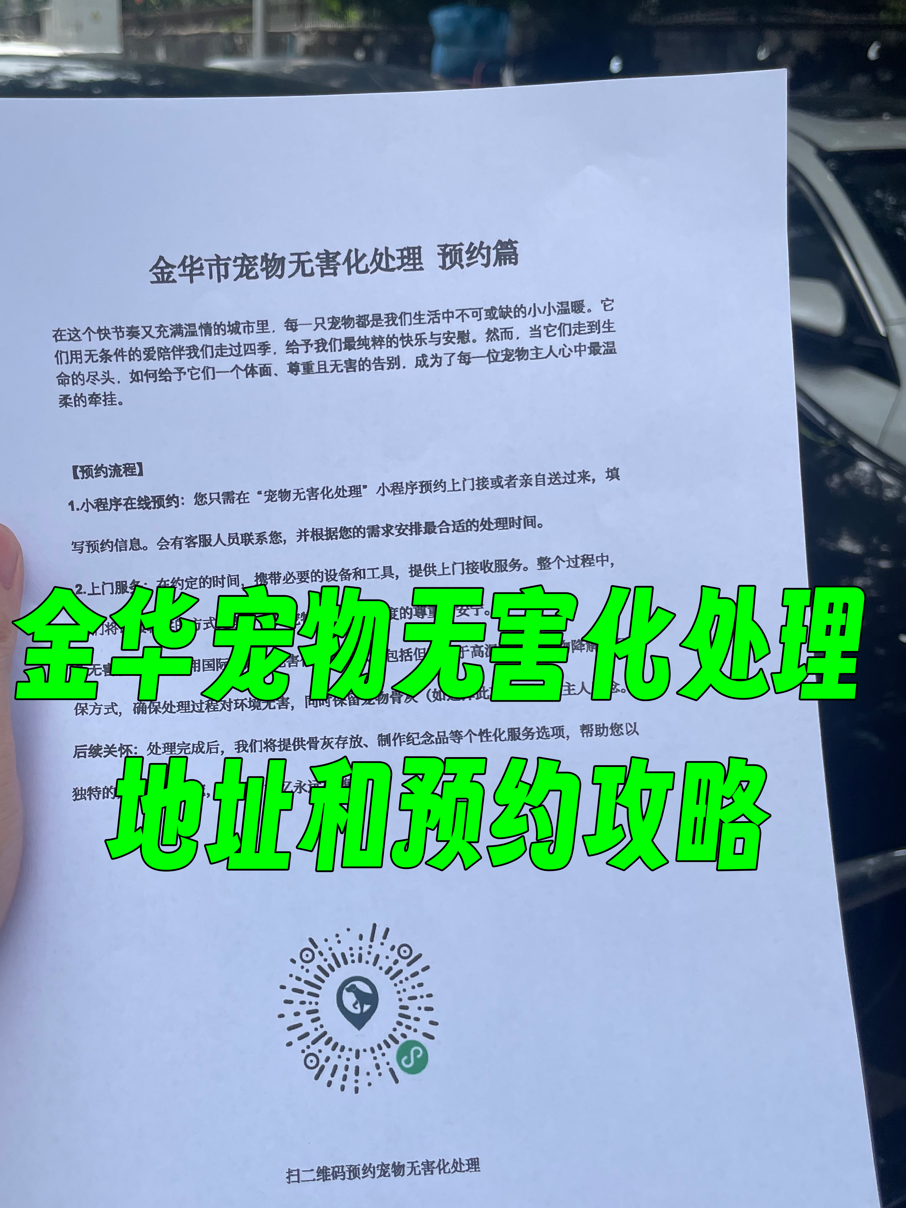 潮南区宠物无害化处理