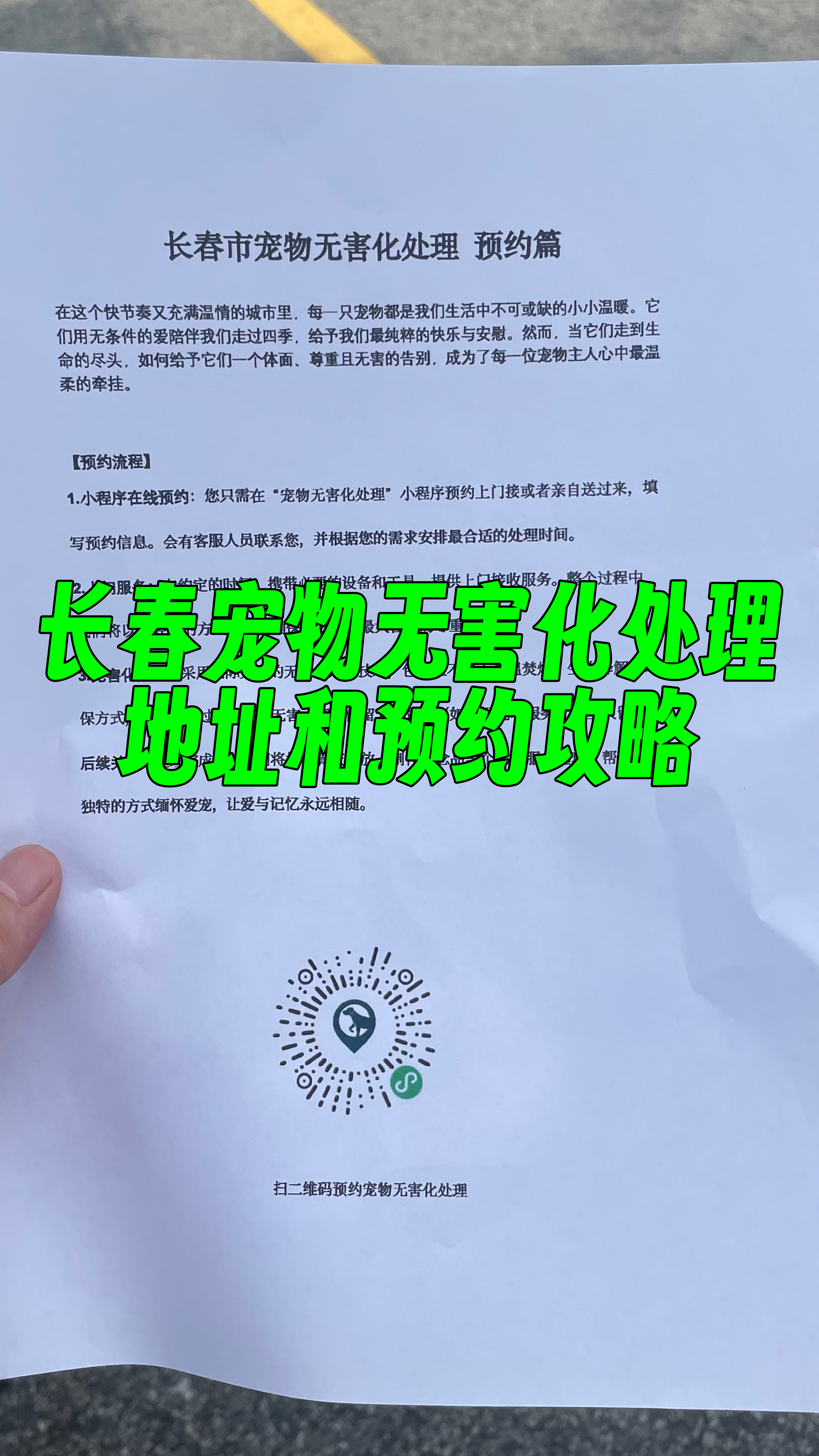 嘉兴宠物遗体规范处理