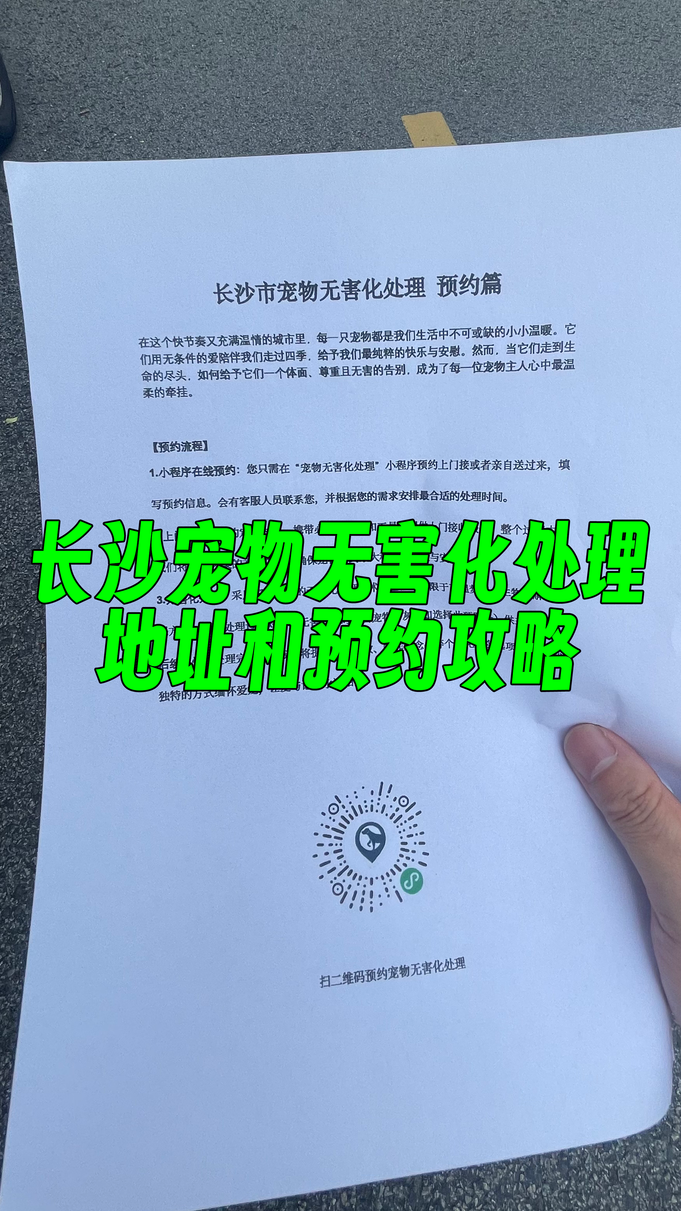 无锡宠物无害化处理机构
