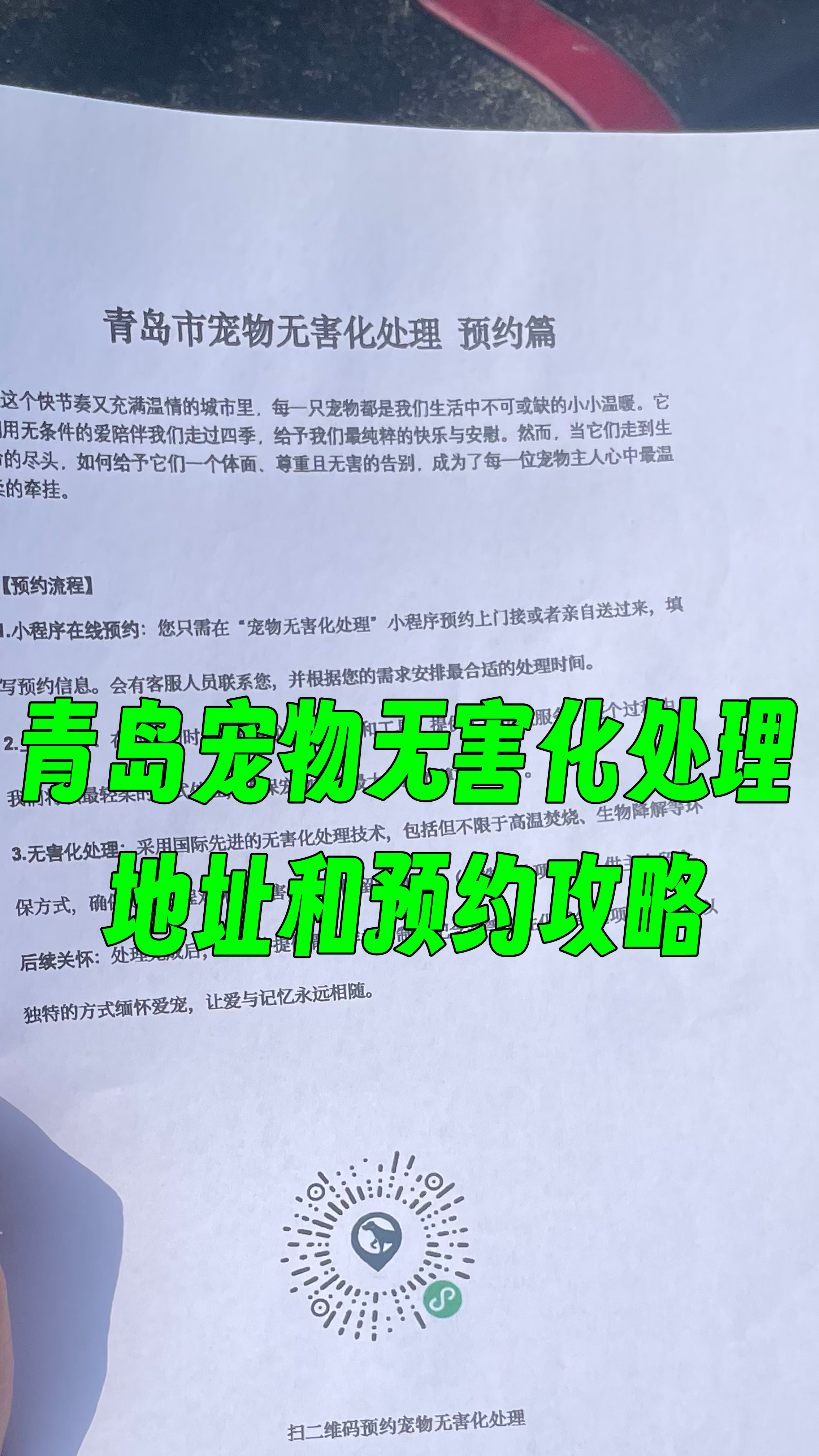 潮南区宠物告别