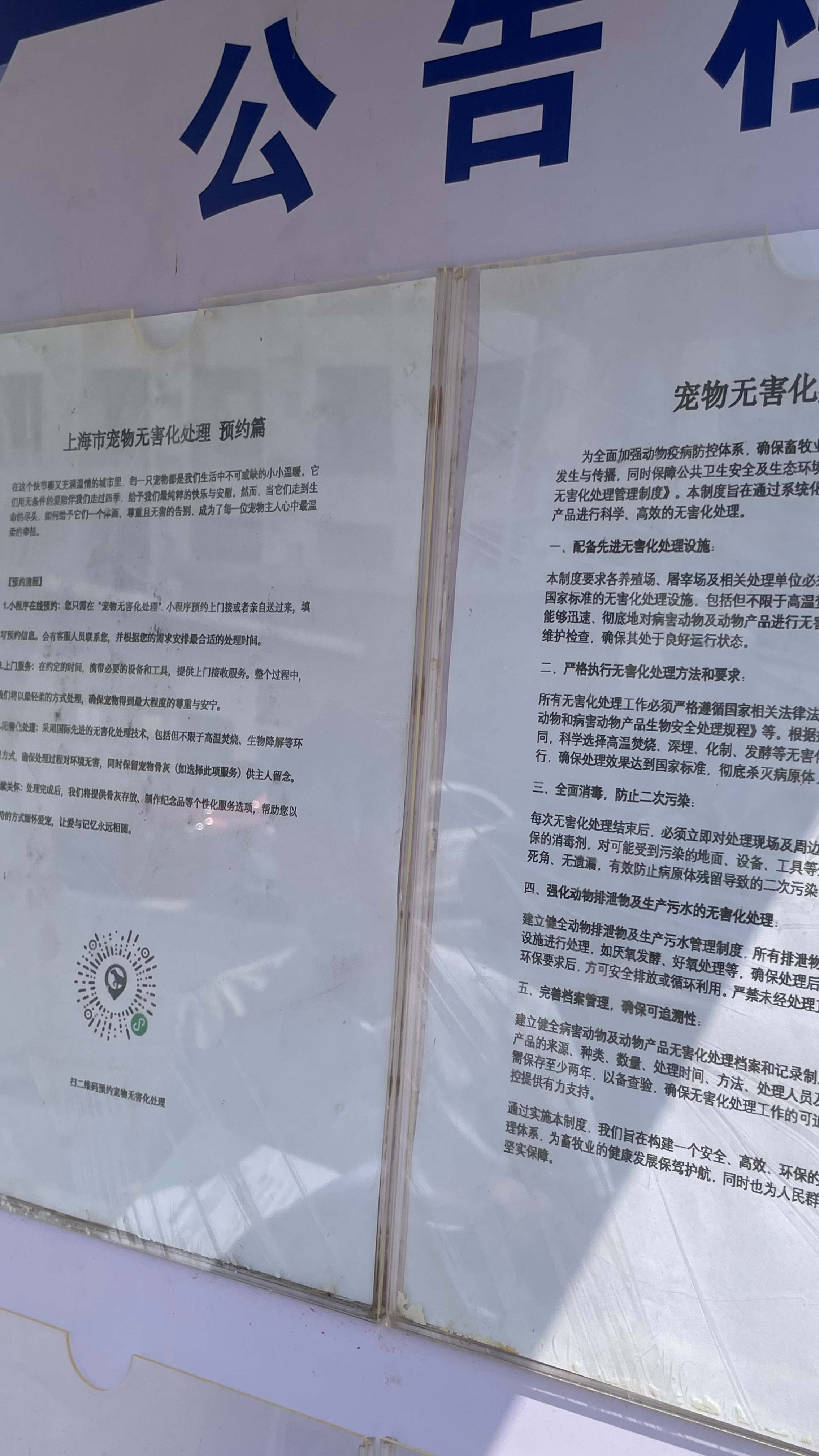 潮南区宠物无害化处理流程