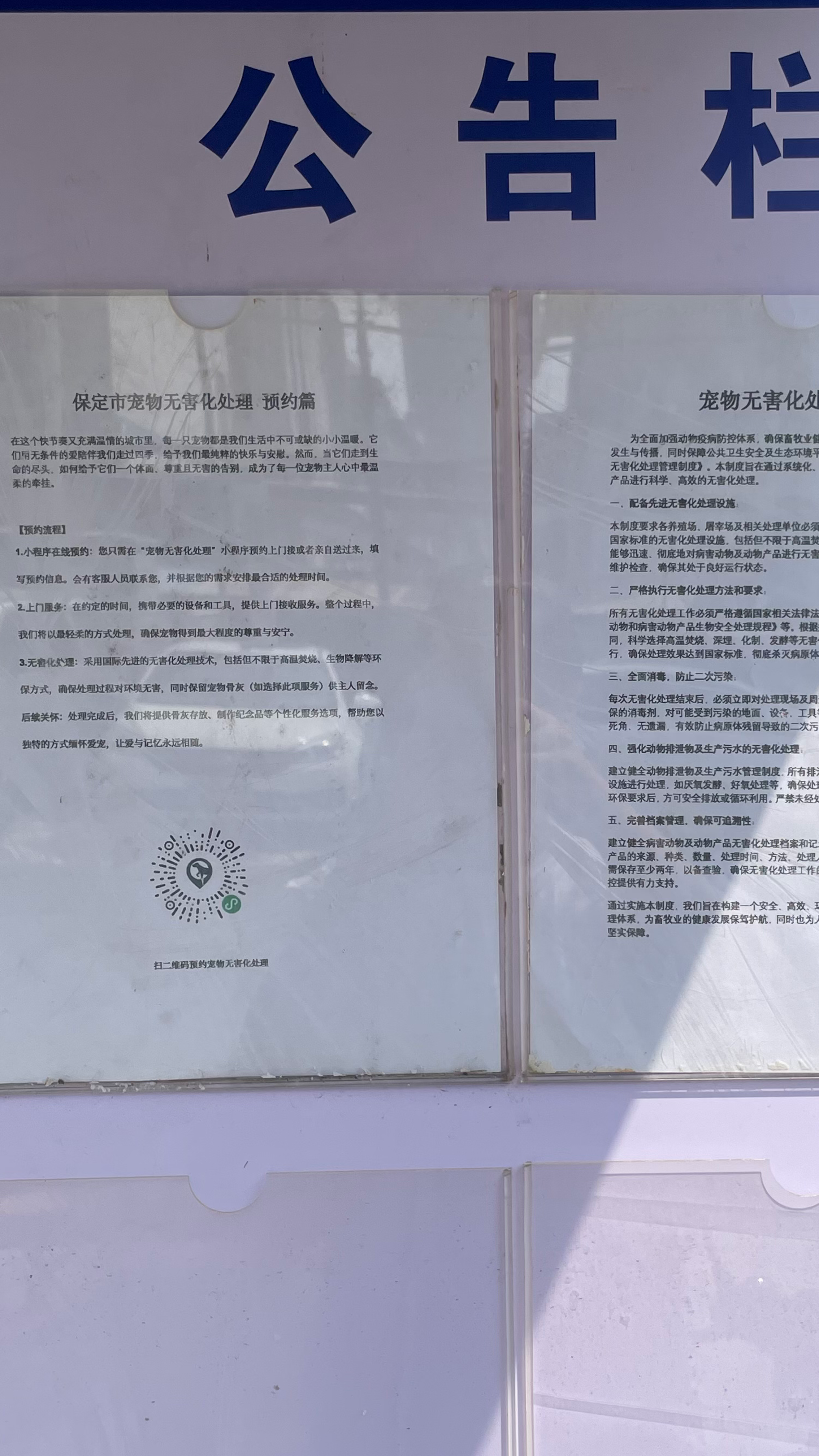 澄海区宠物无害化