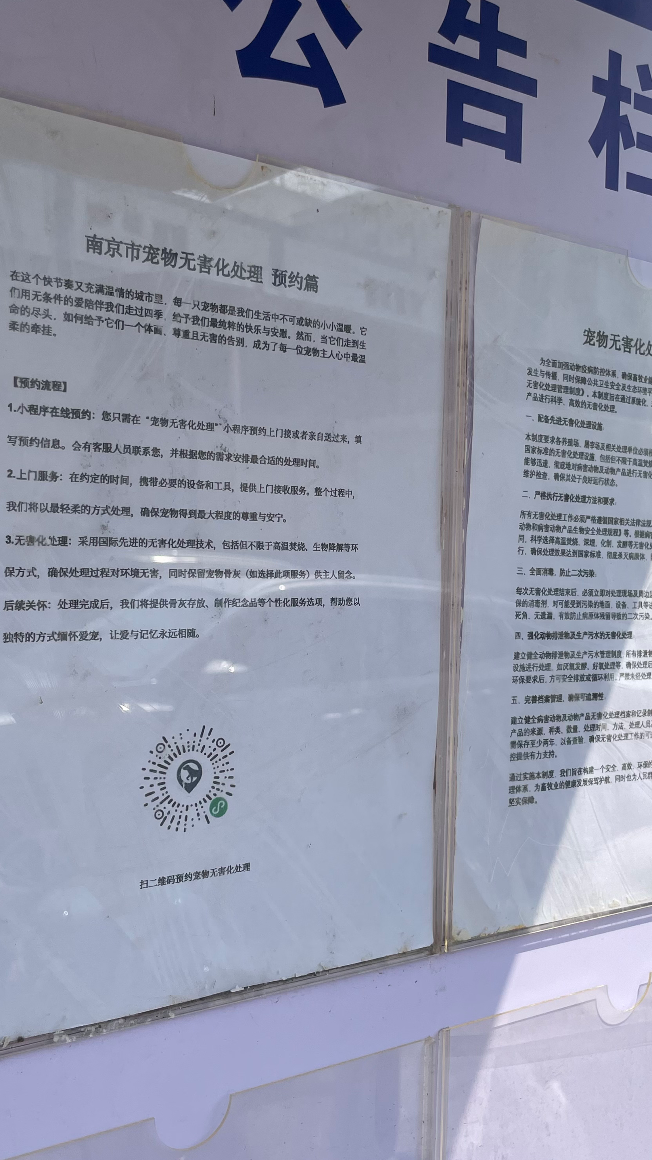 抚州宠物无害化处理