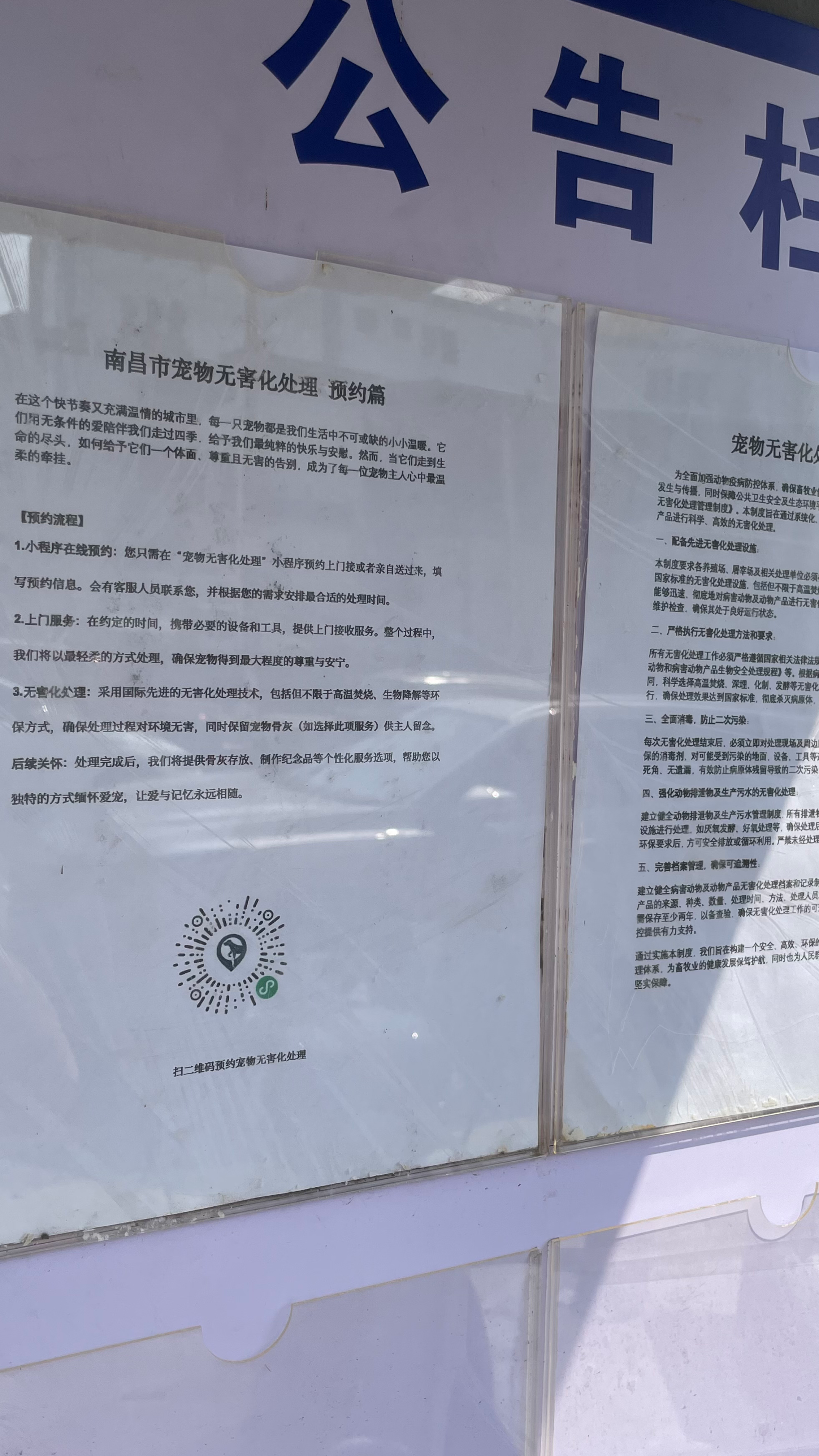 澄海区宠物接运服务