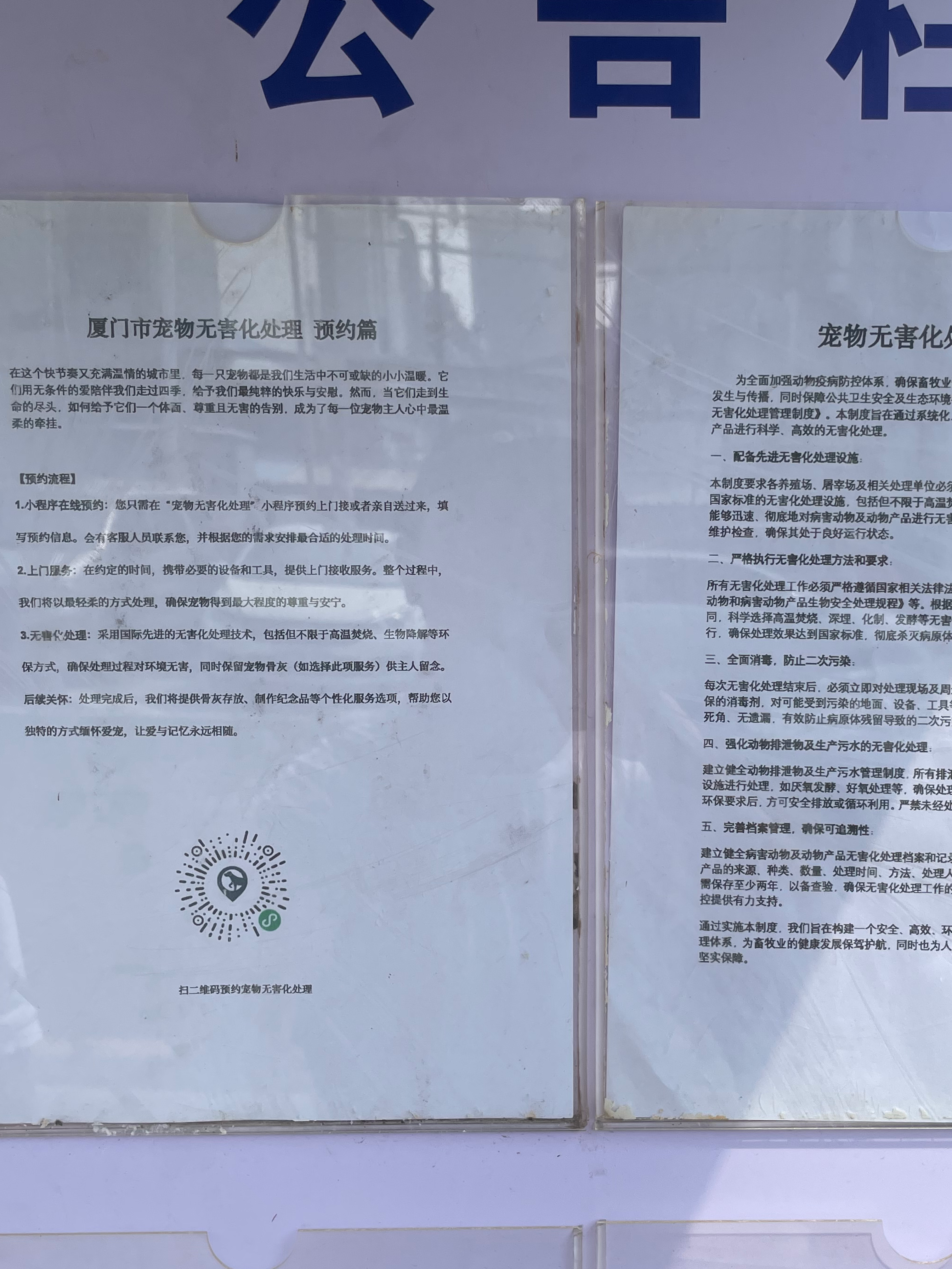 澄海区宠物骨灰安置