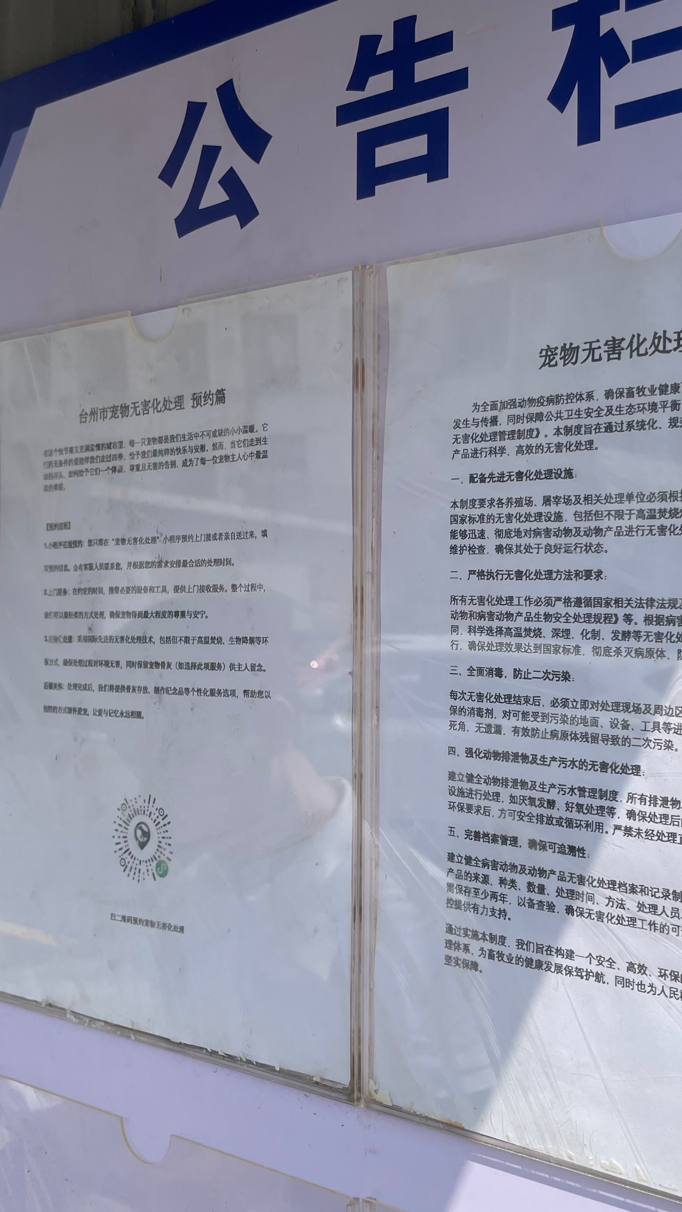湘潭宠物无害化处理机构