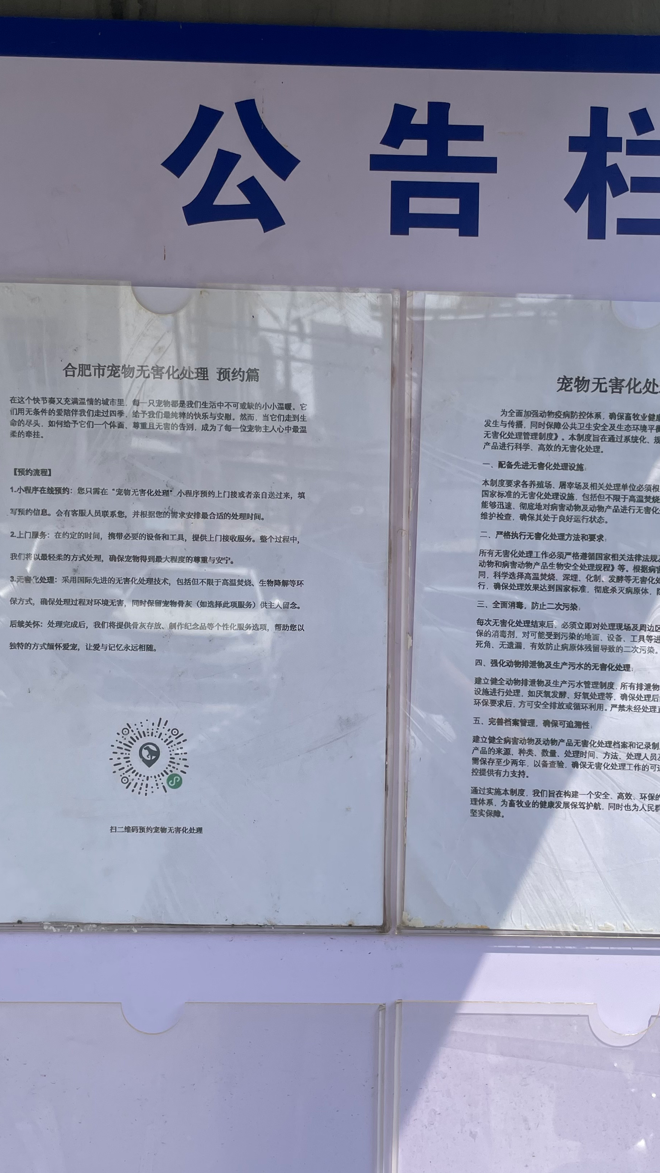 南宁宠物无害化处理