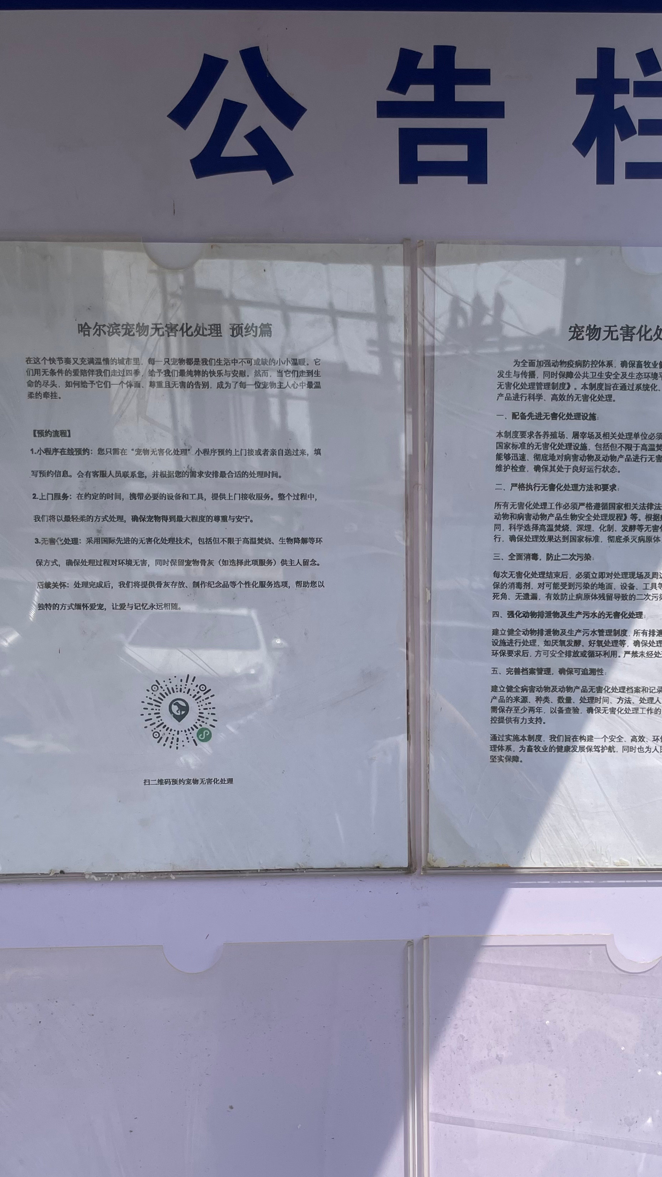 南澳宠摆渡服务