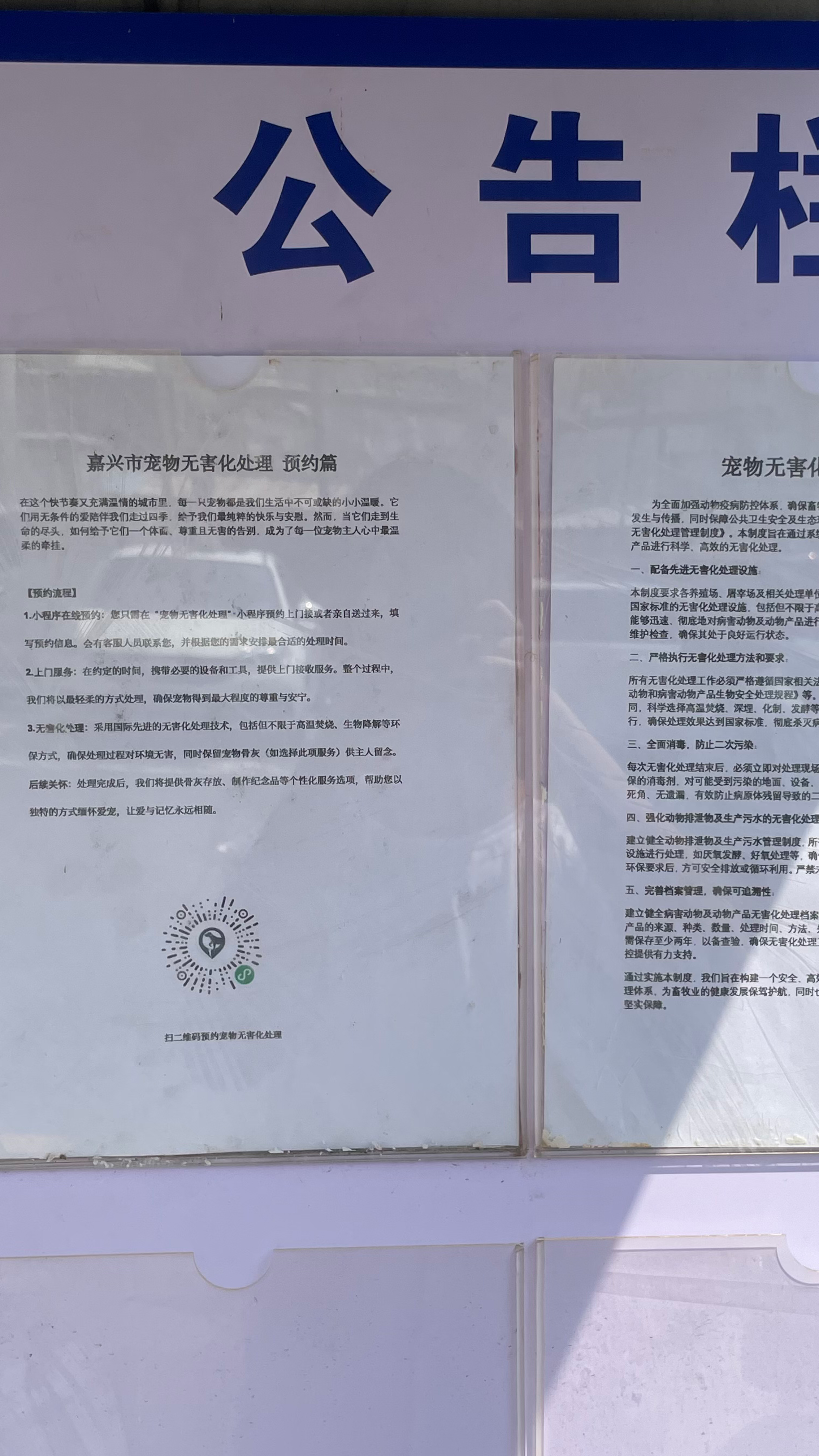 株洲宠物无害化处理