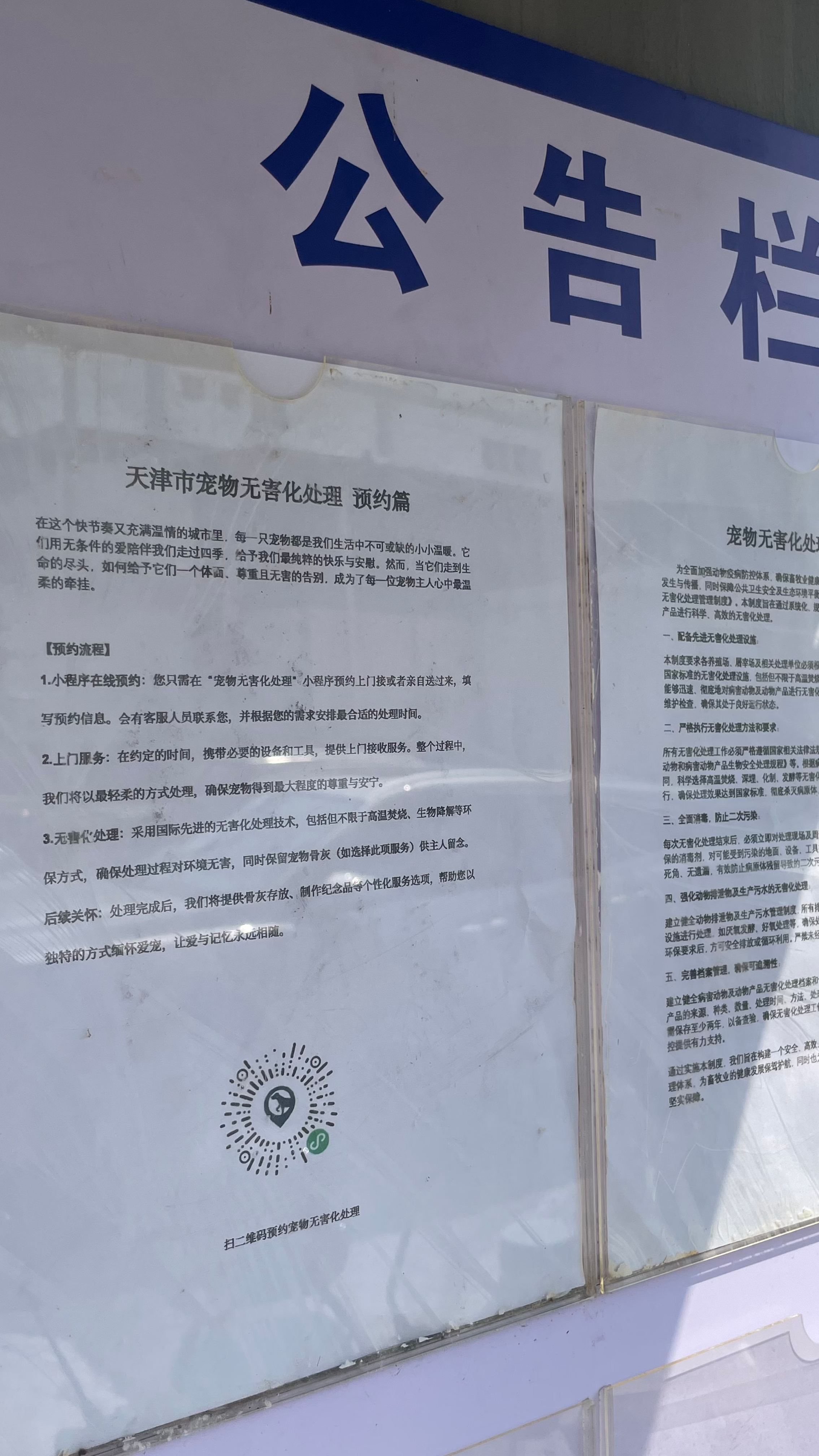 贵港宠物遗体规范处理